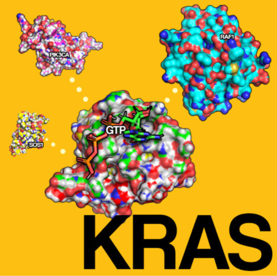 gæld strukturelt tvetydigheden Cancers | Free Full-Text | Therapeutic Targets of KRAS in Colorectal Cancer  | HTML