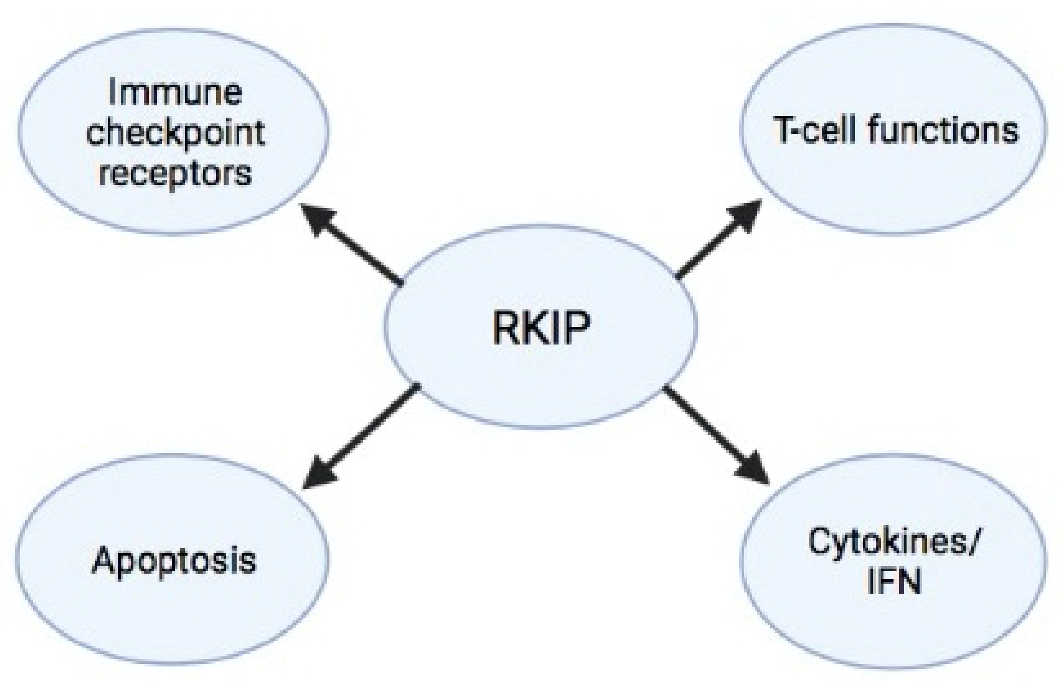 Cancers 13 06247 g003