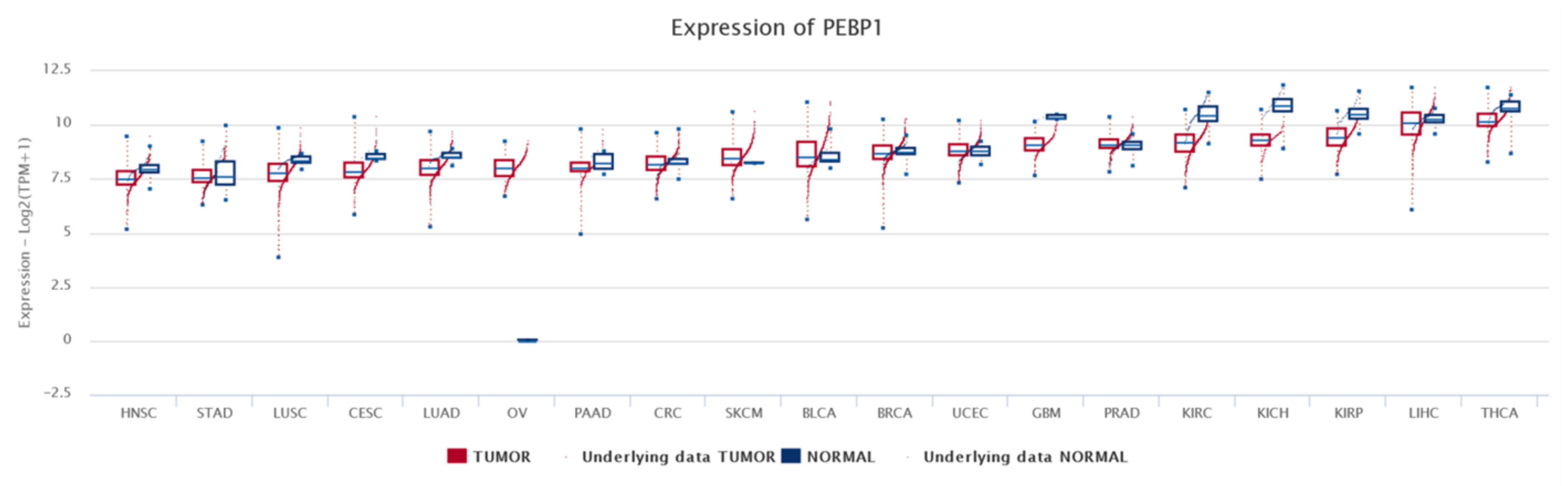 Cancers 13 06247 g004