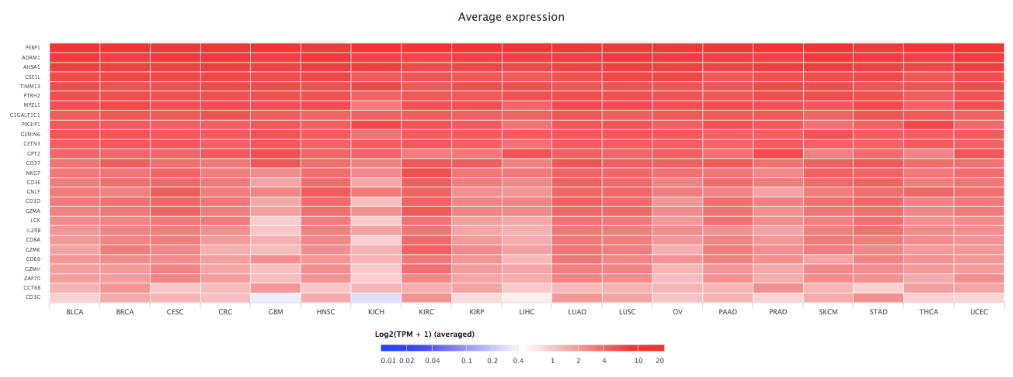 Cancers 13 06247 g005