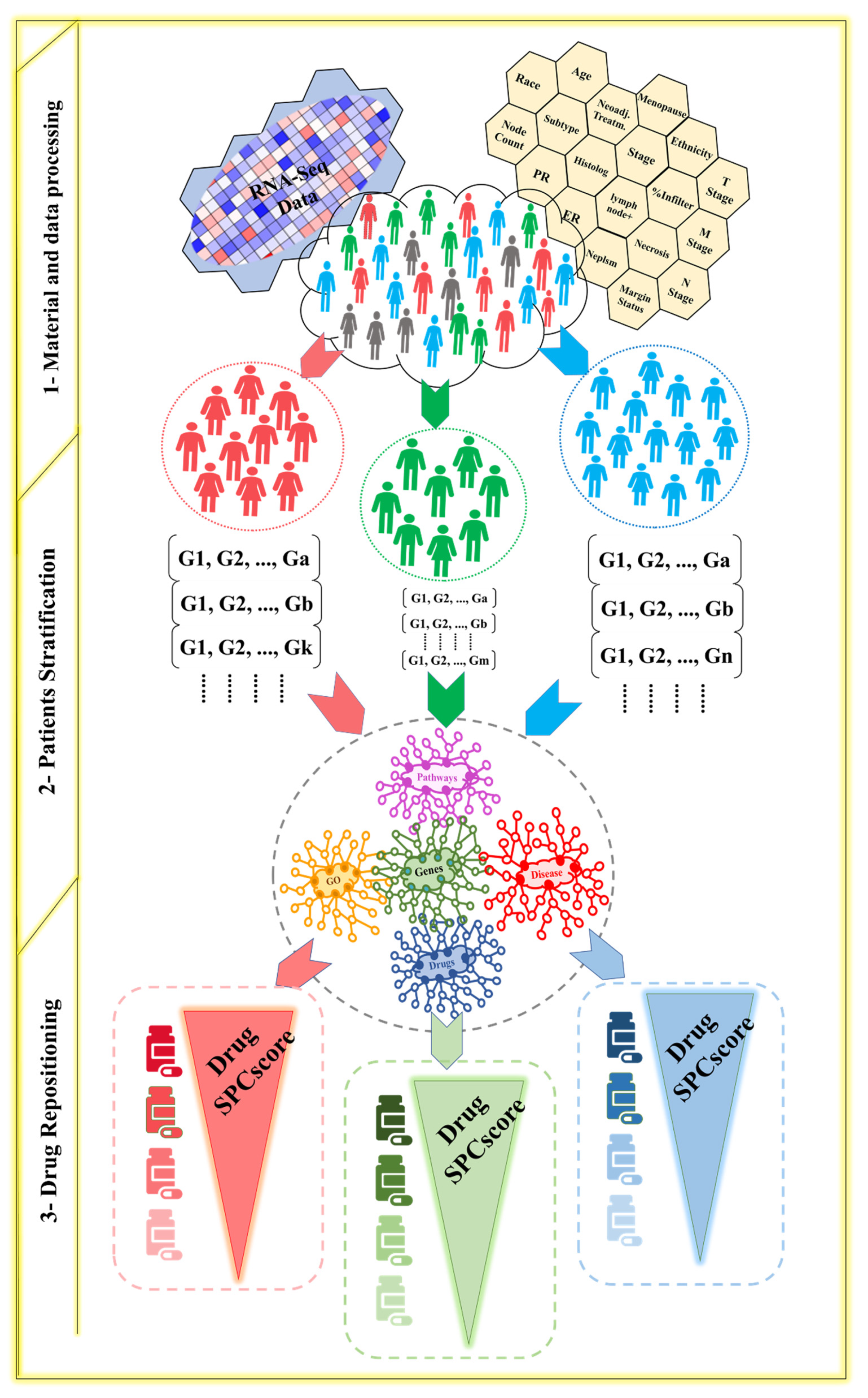 Cancers 13 06278 g001