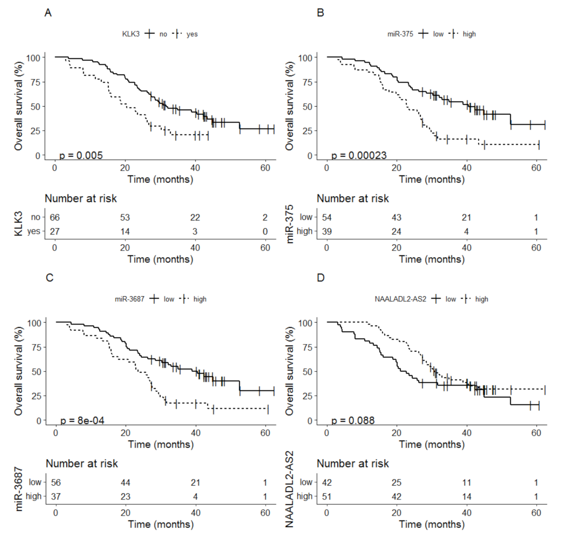 Cancers 13 06279 g003