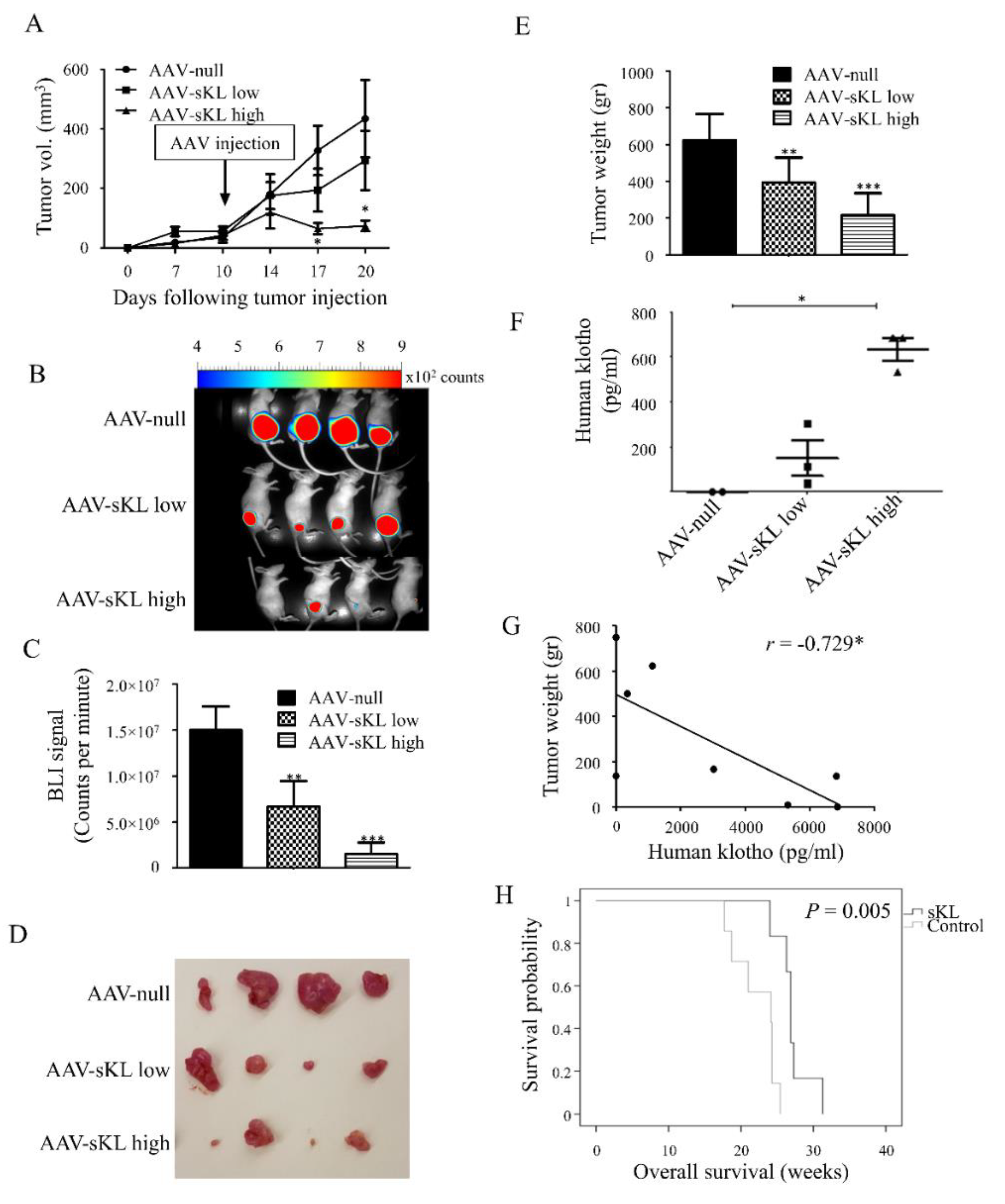 Cancers 13 06297 g005
