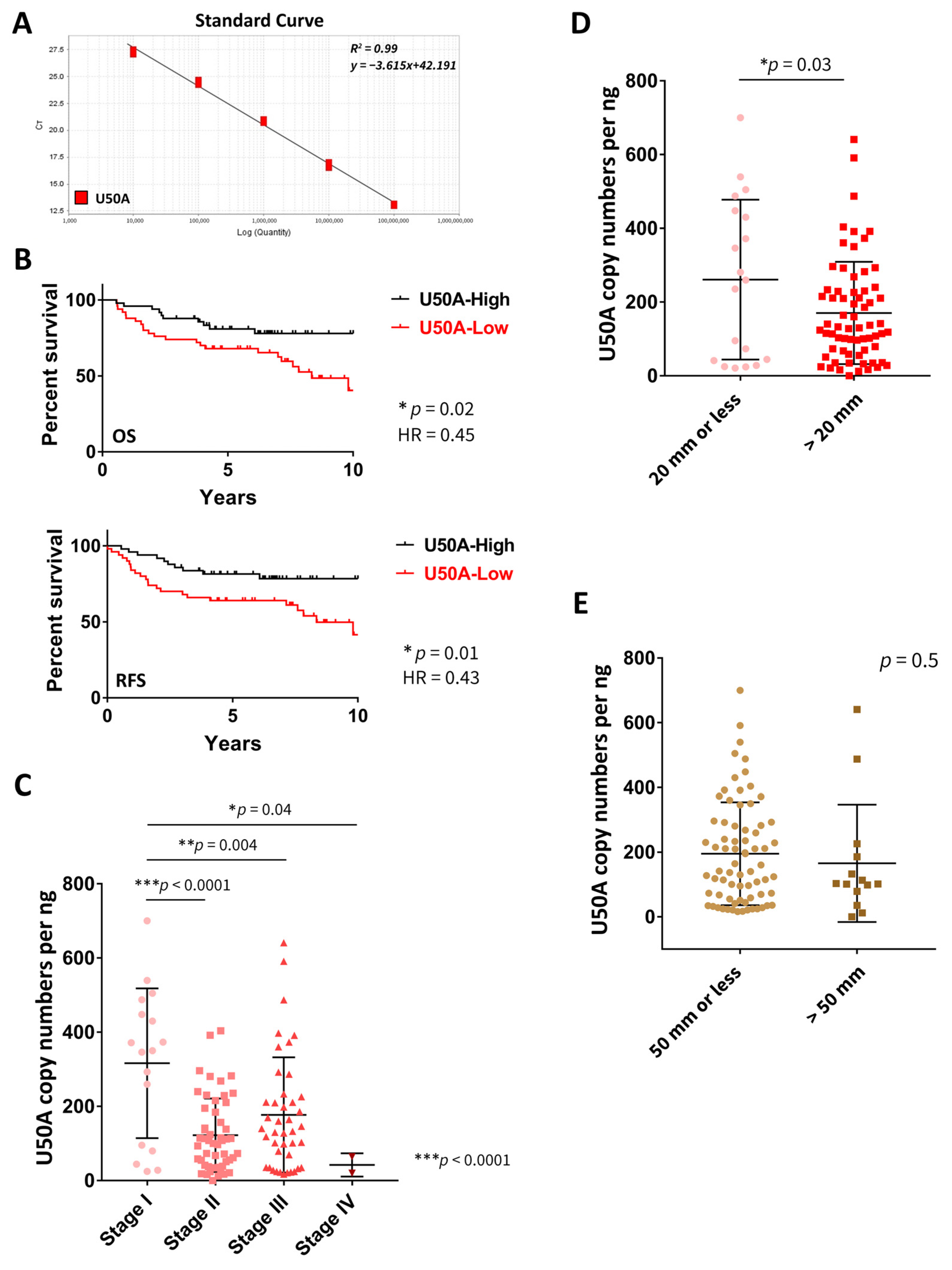 Cancers 13 06304 g001