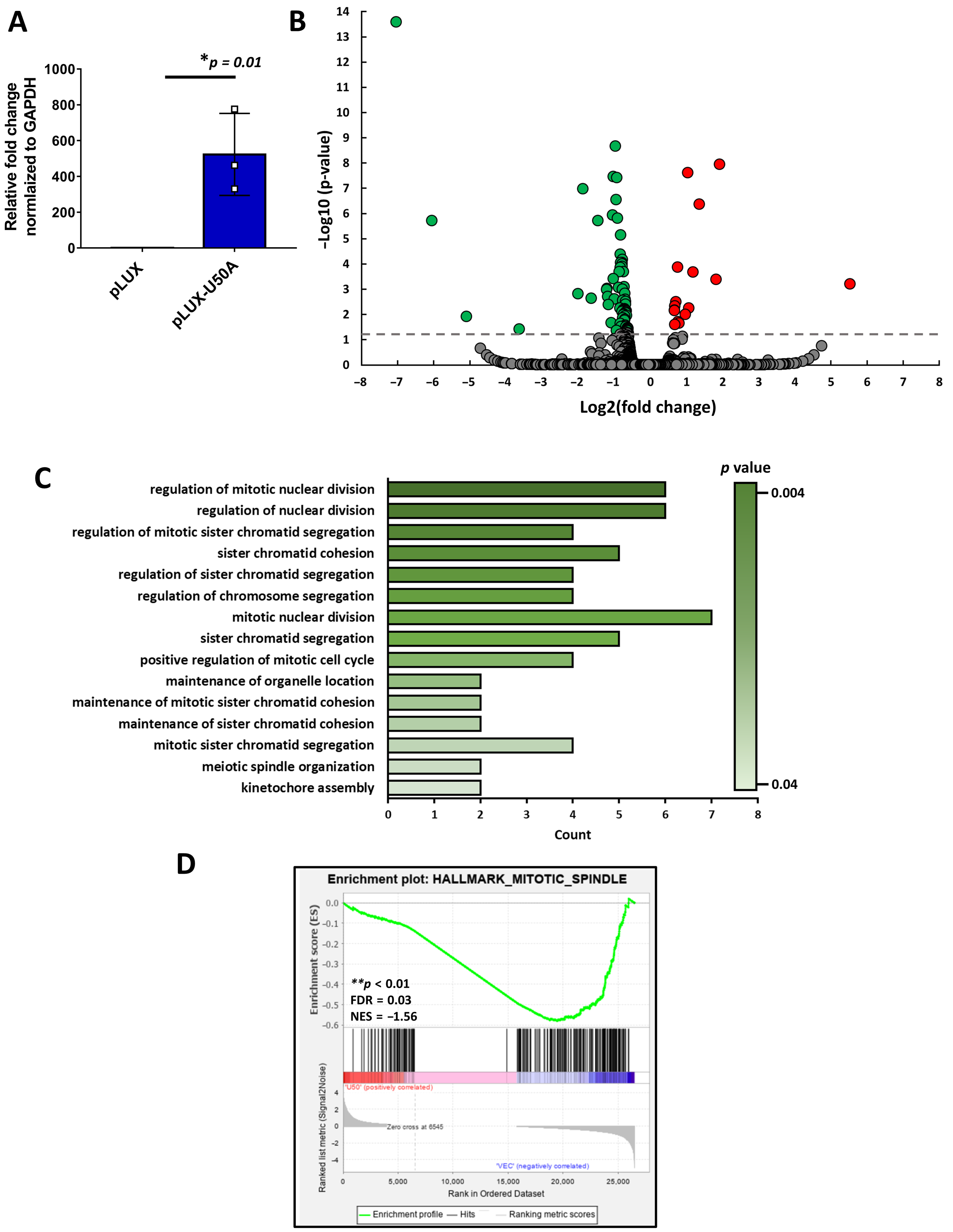 Cancers 13 06304 g002