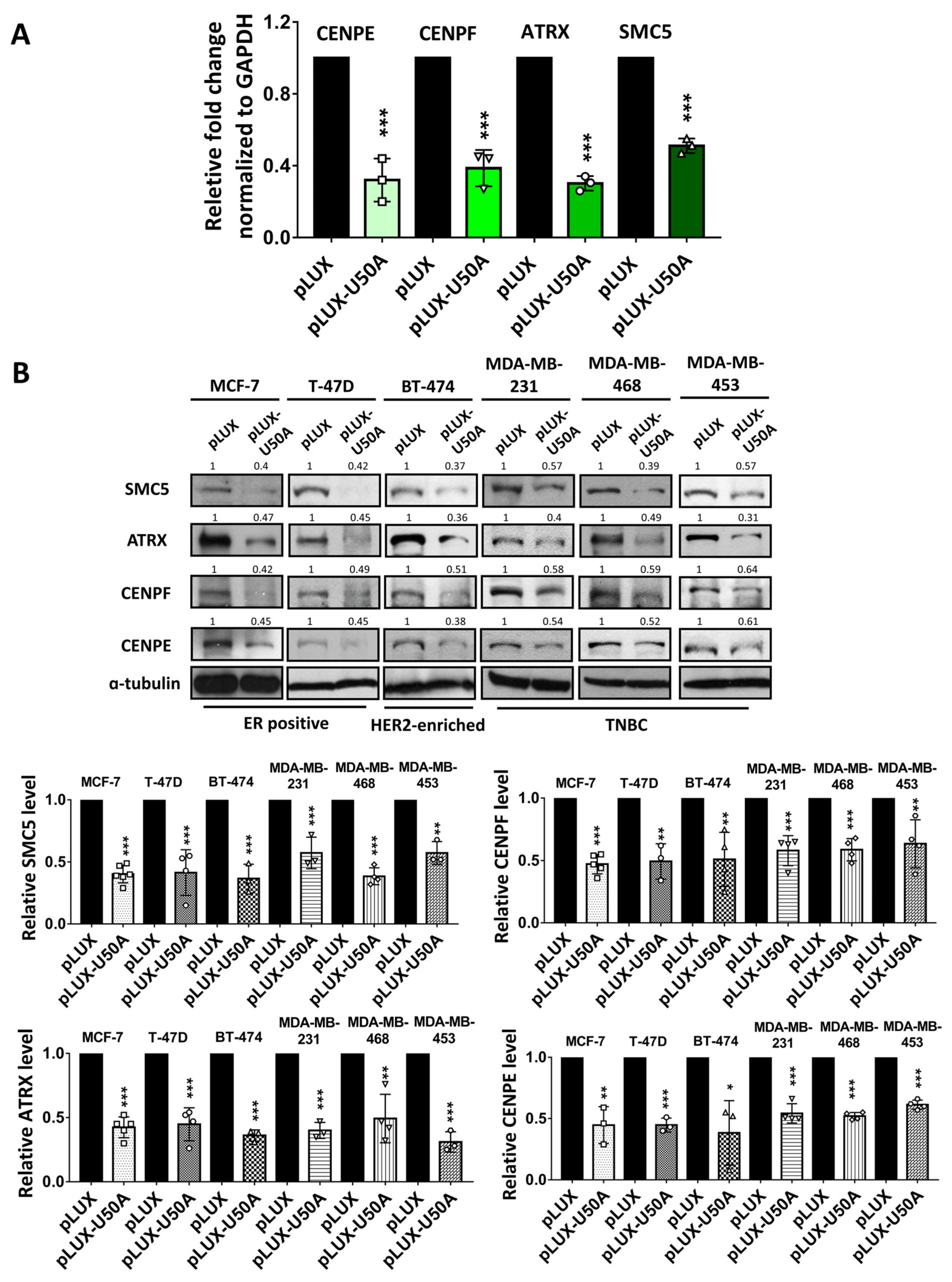 Cancers 13 06304 g003a