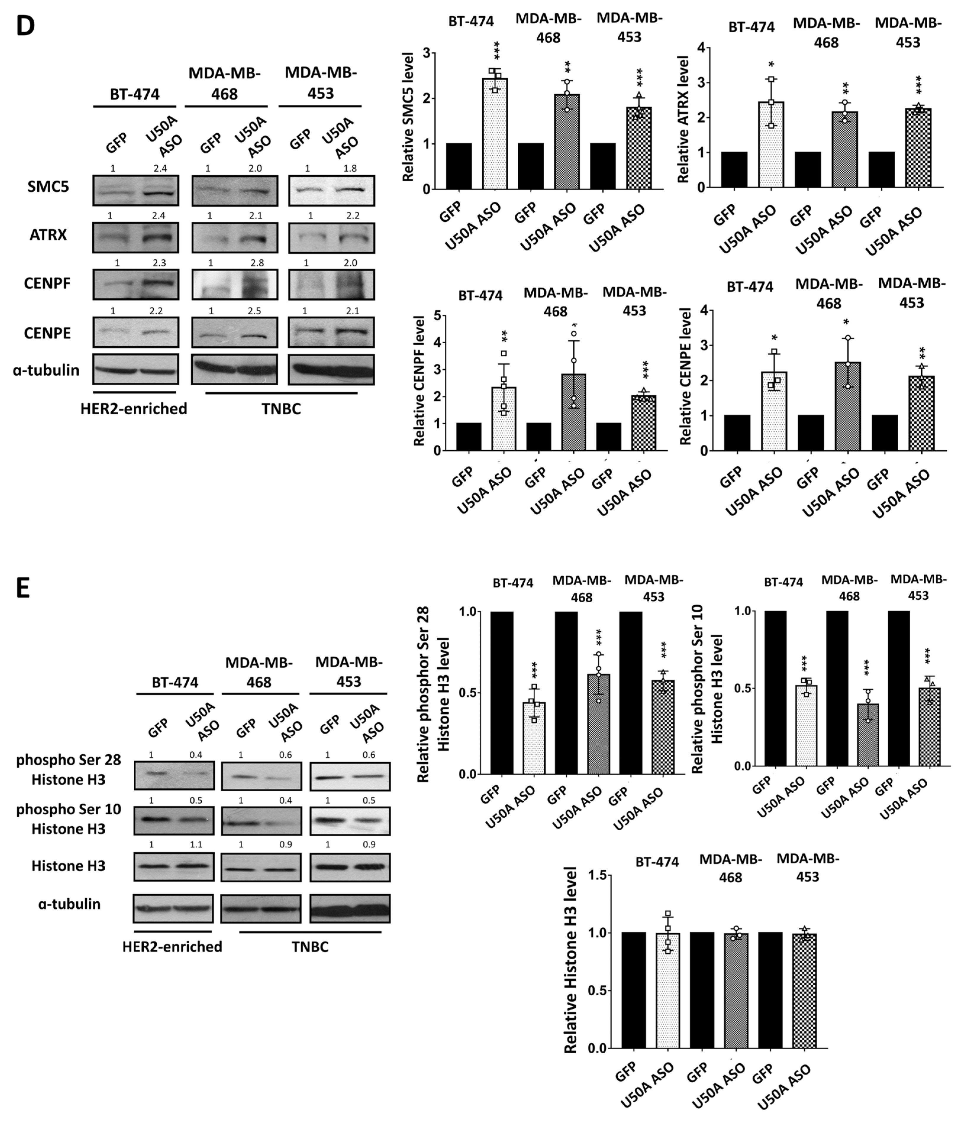 Cancers 13 06304 g003c