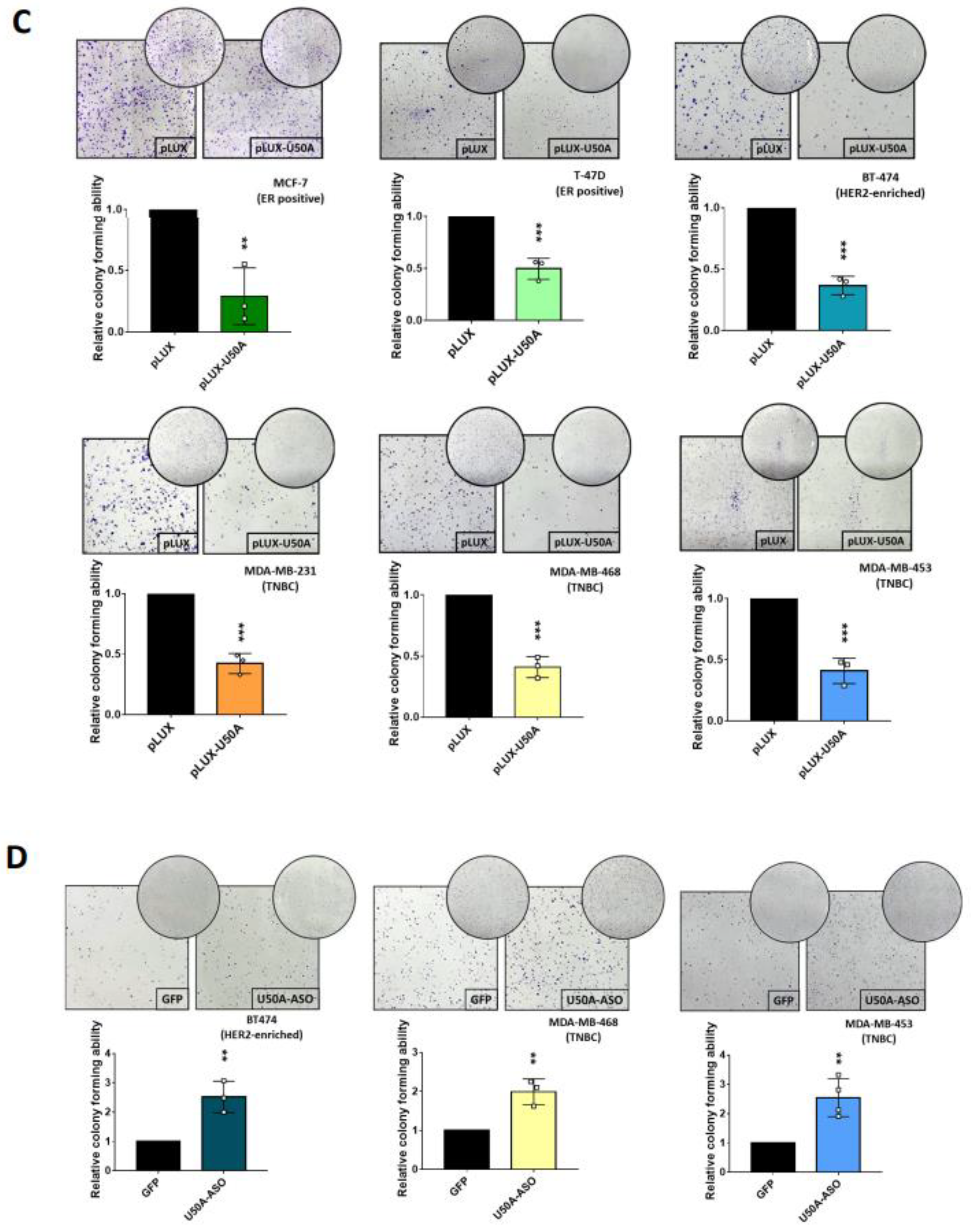 Cancers 13 06304 g004b