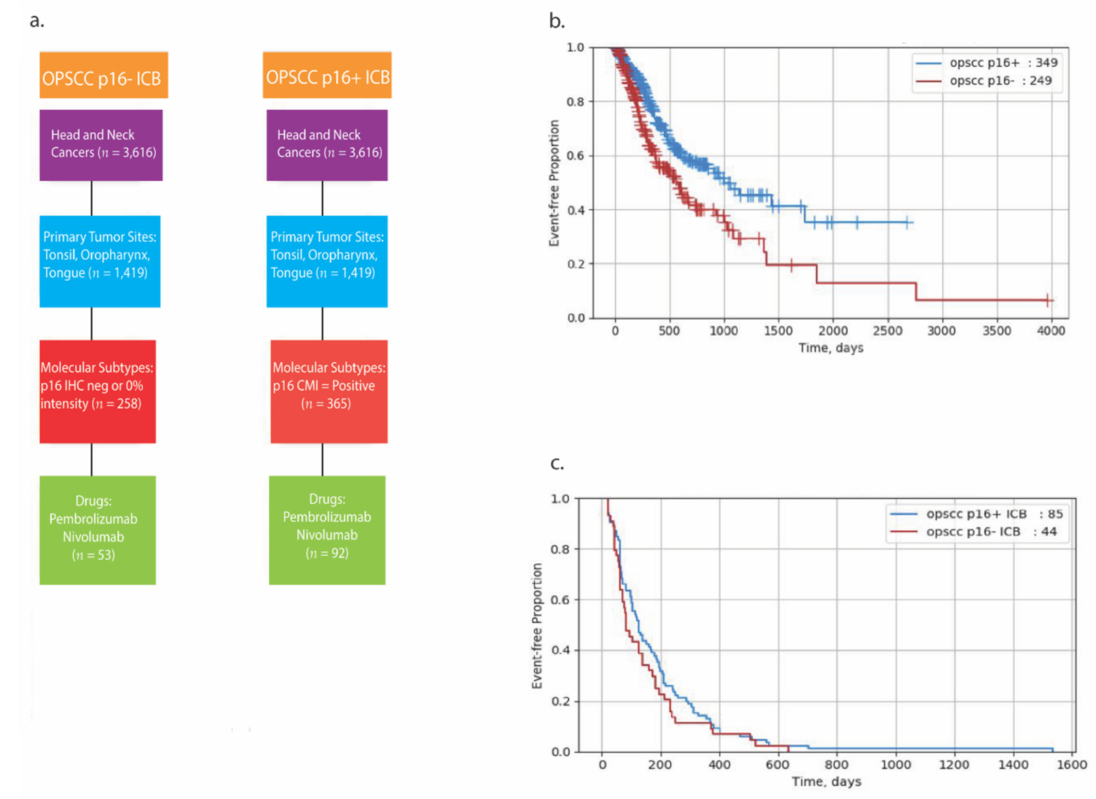 Cancers | Free Full-Text | Genomic and Molecular Profiling of Human  Papillomavirus Associated Head and Neck Squamous Cell Carcinoma Treated  with Immune Checkpoint Blockade Compared to Survival Outcomes
