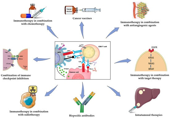 How to Test Human-Specific Combination Immunotherapies In Vivo