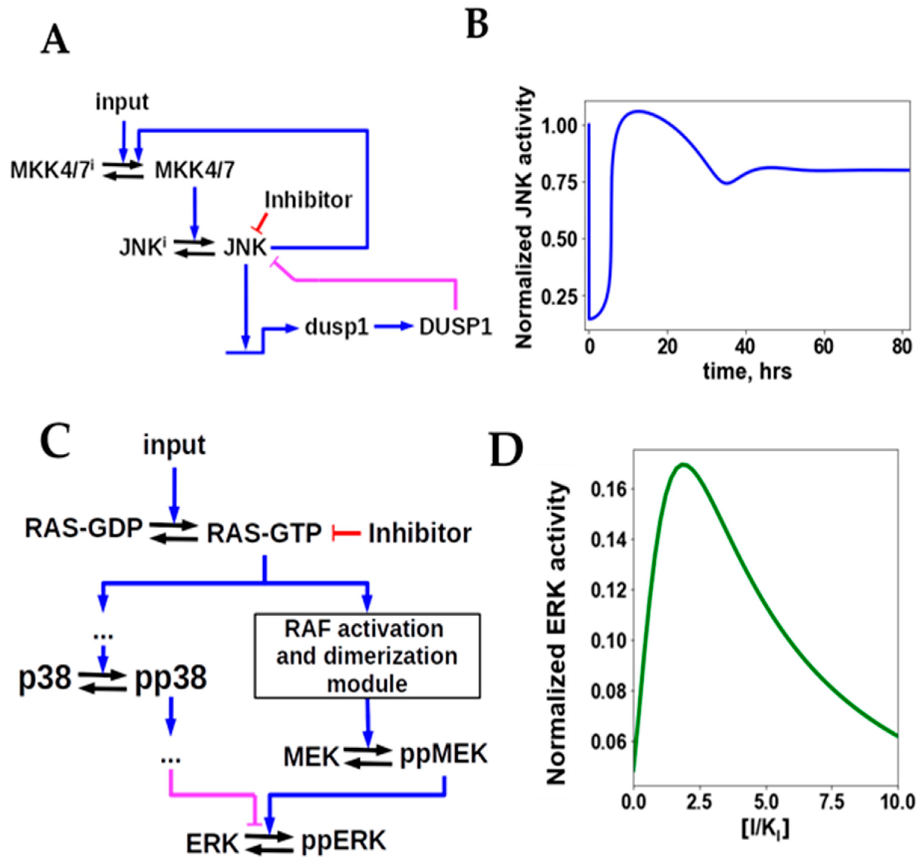 Cancers 13 06312 g004