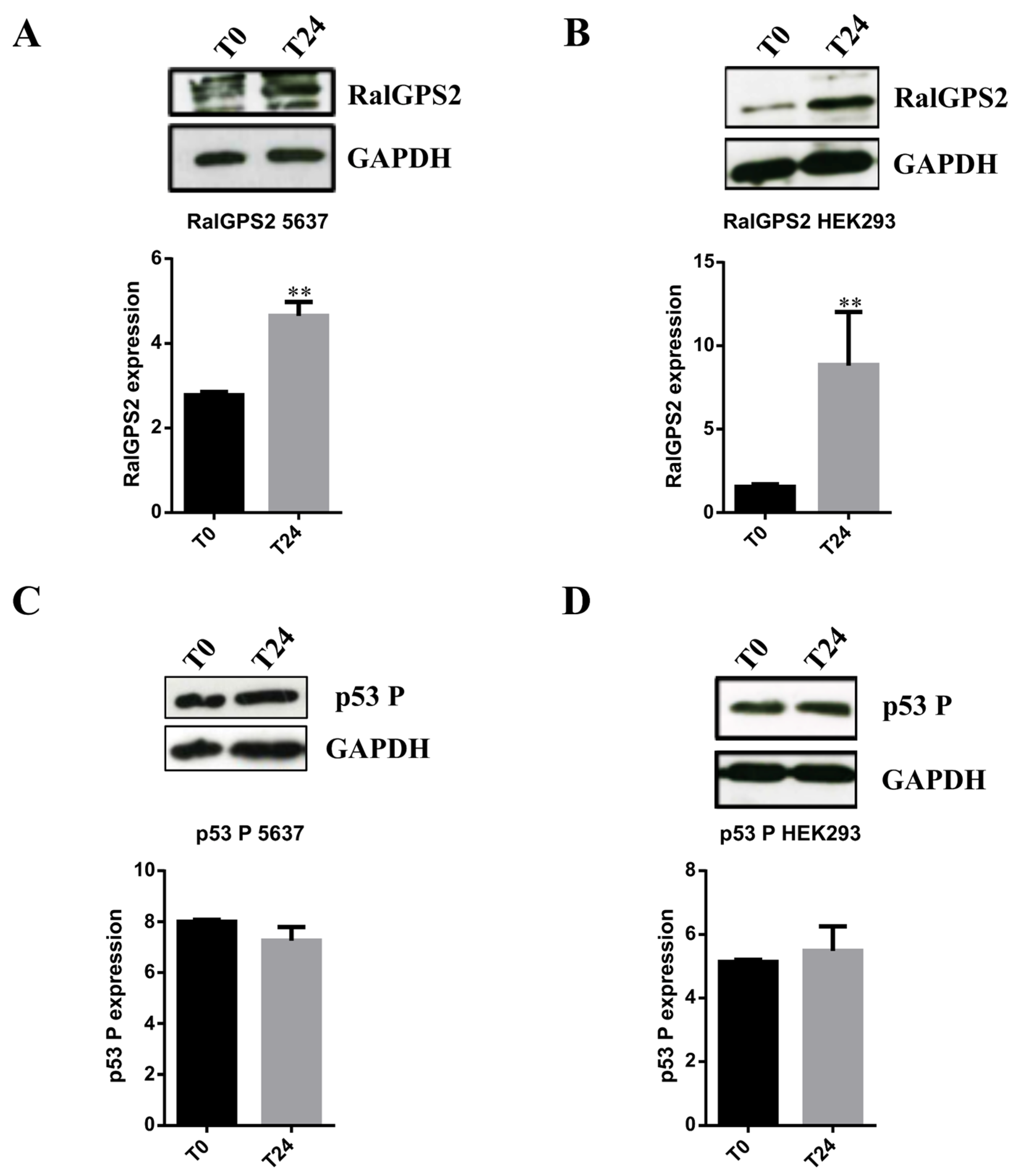 Cancers 13 06330 g009