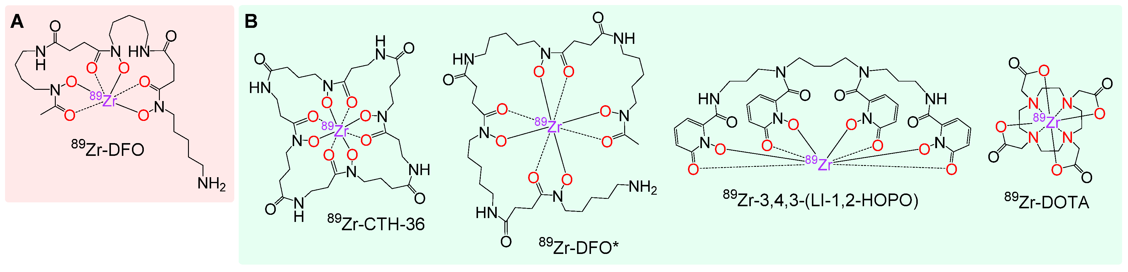 Cancers 13 06349 g001