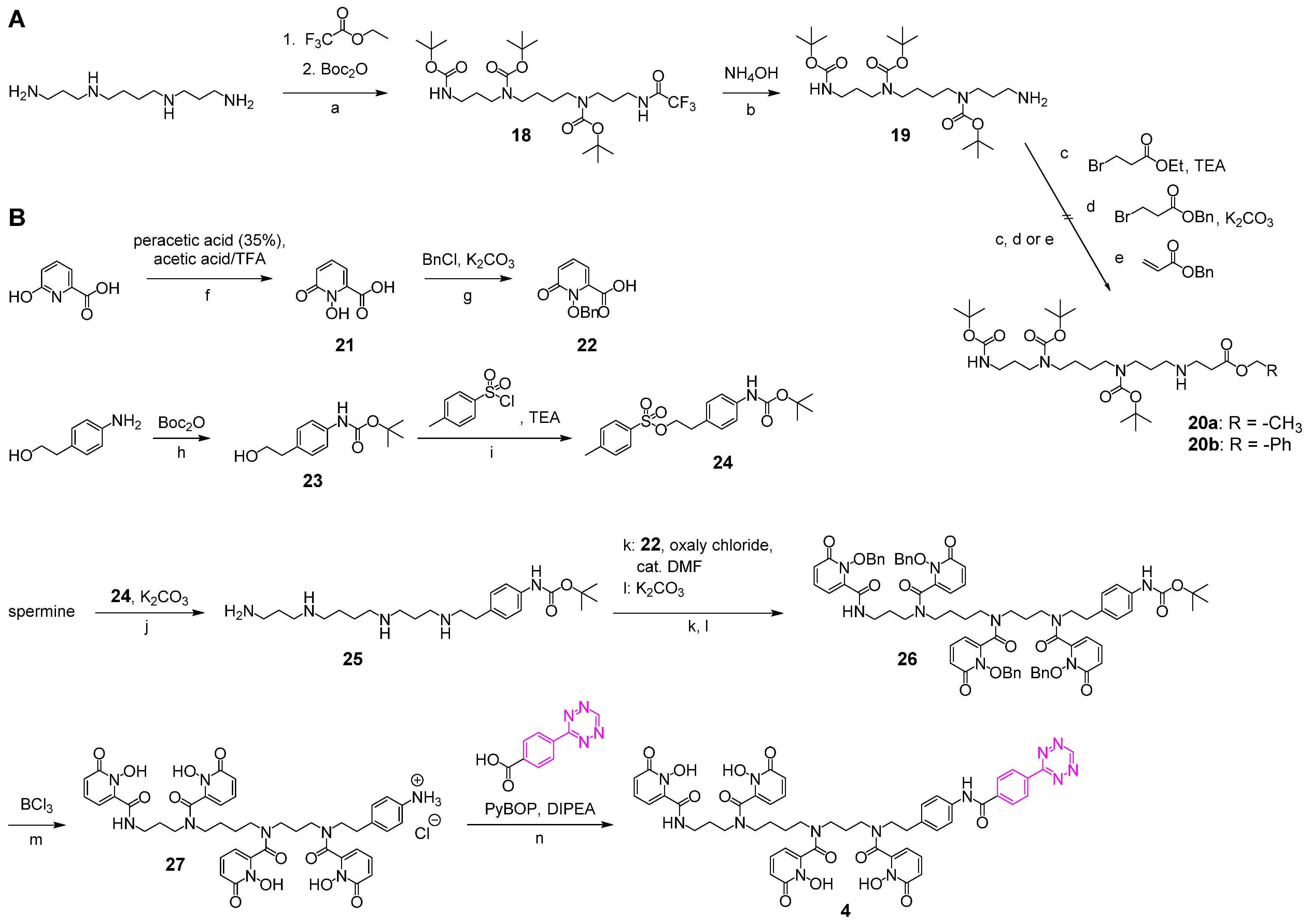 Cancers 13 06349 sch015