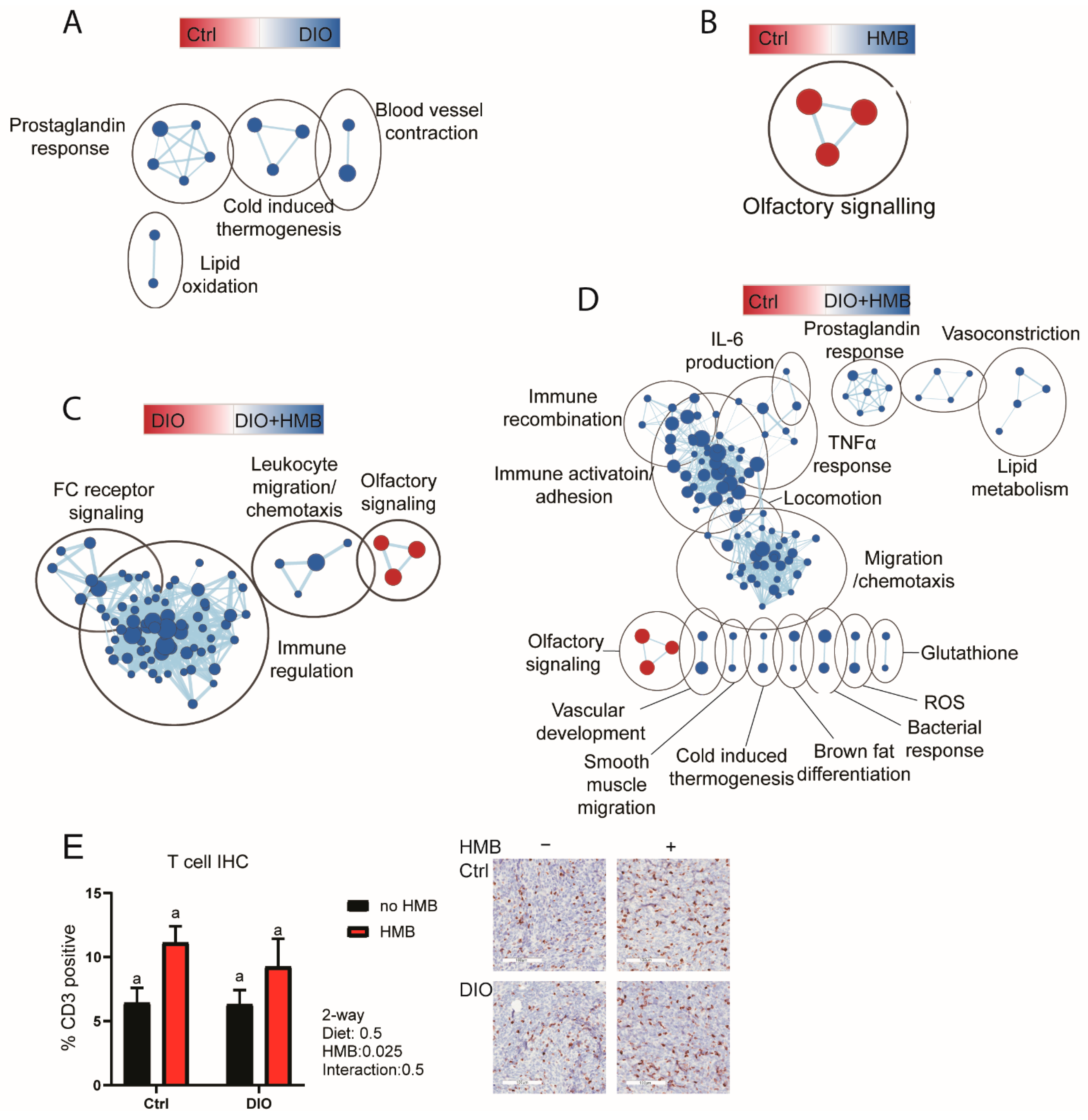 Cancers 13 06359 g002