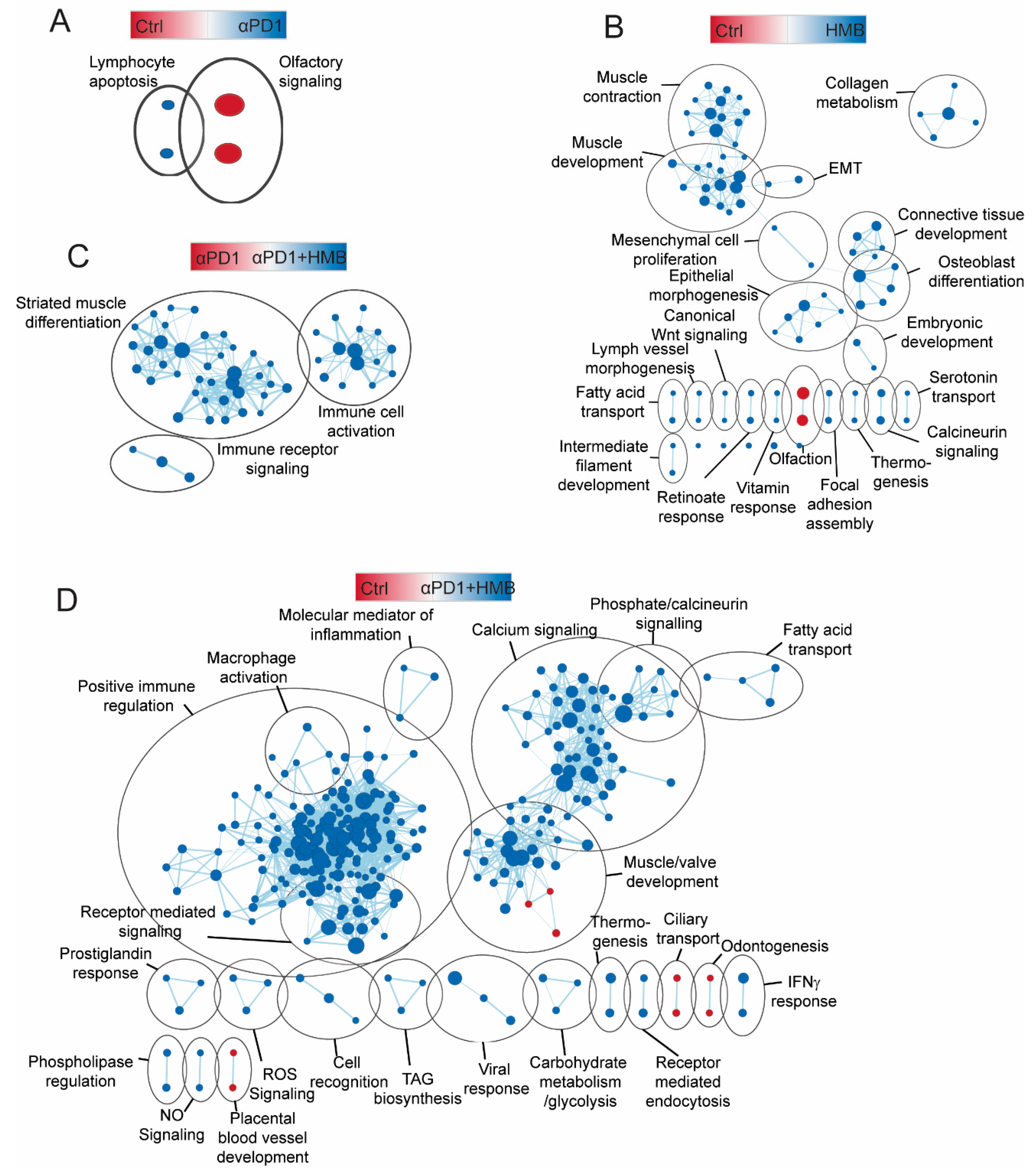 Cancers 13 06359 g004
