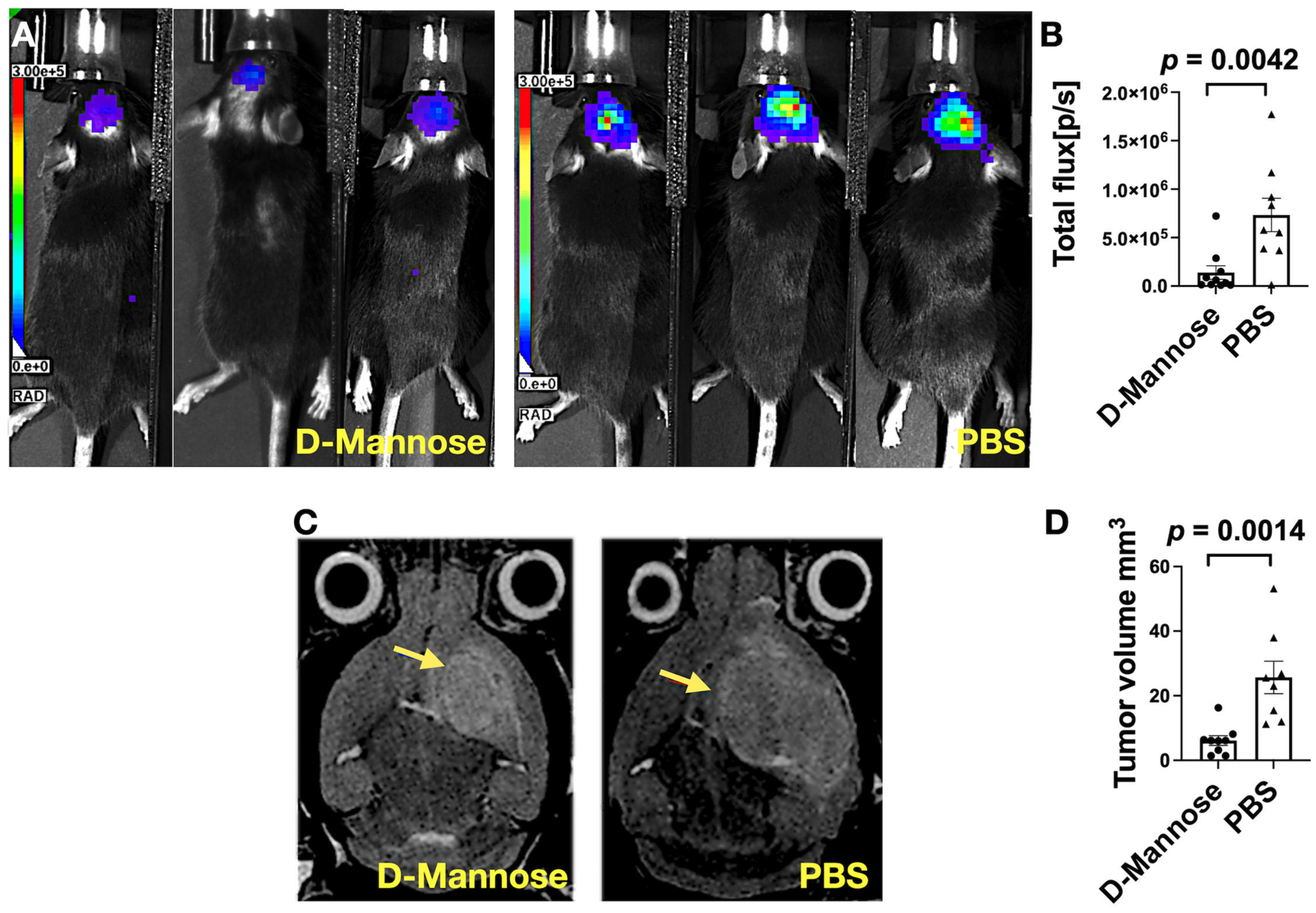 Cancers 13 06360 g001