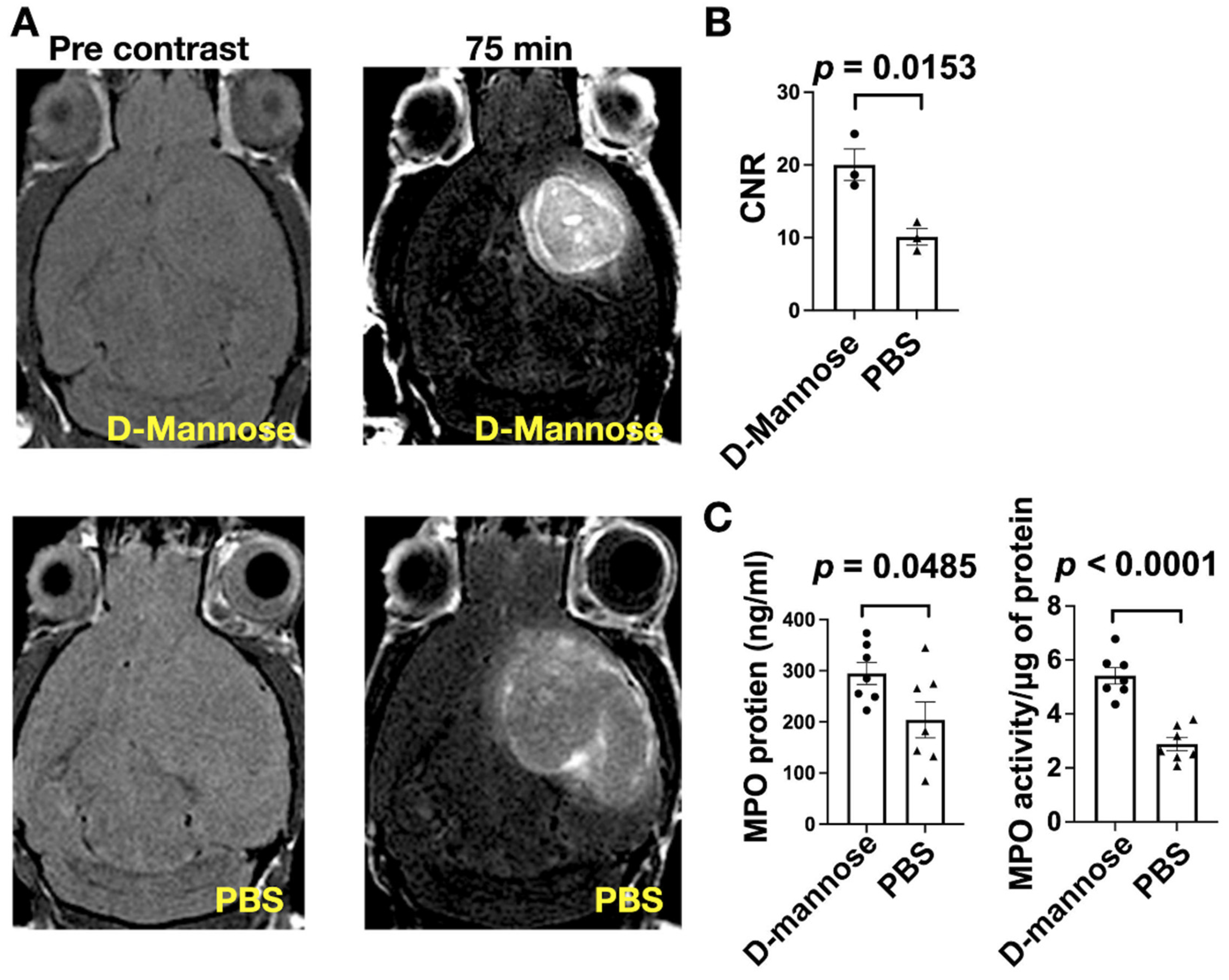 Cancers 13 06360 g002