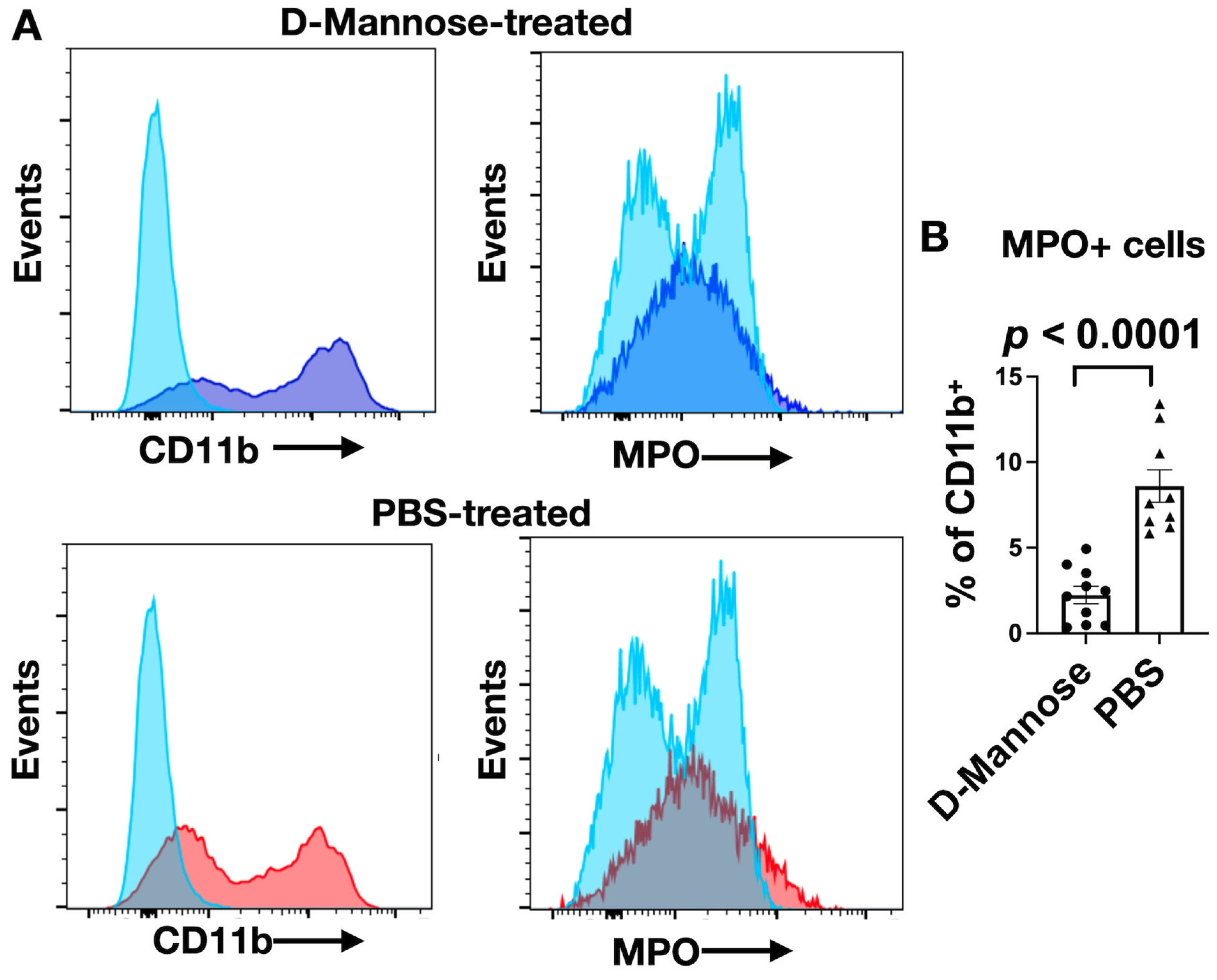 Cancers 13 06360 g003