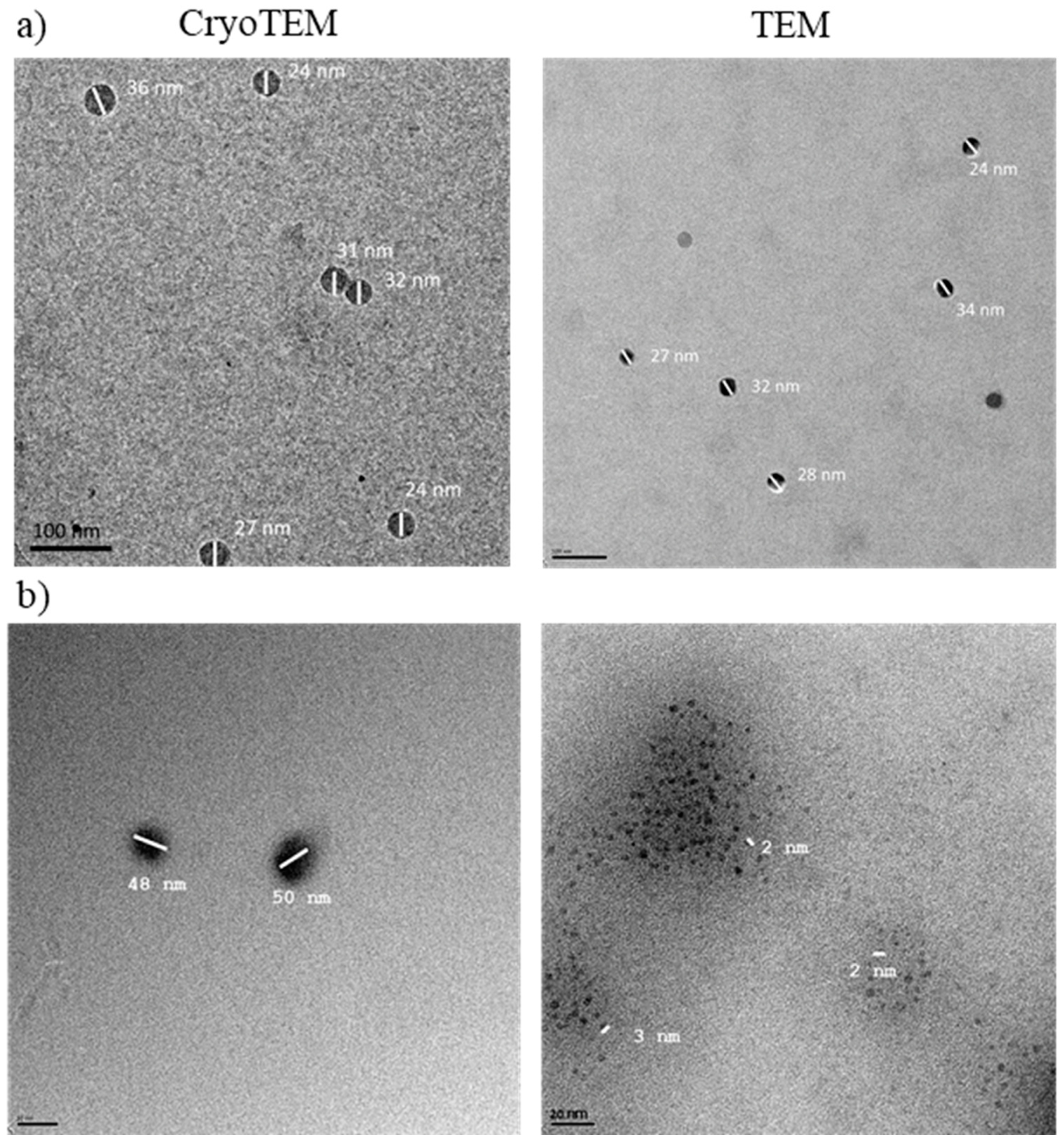 Cancers 13 06367 g003