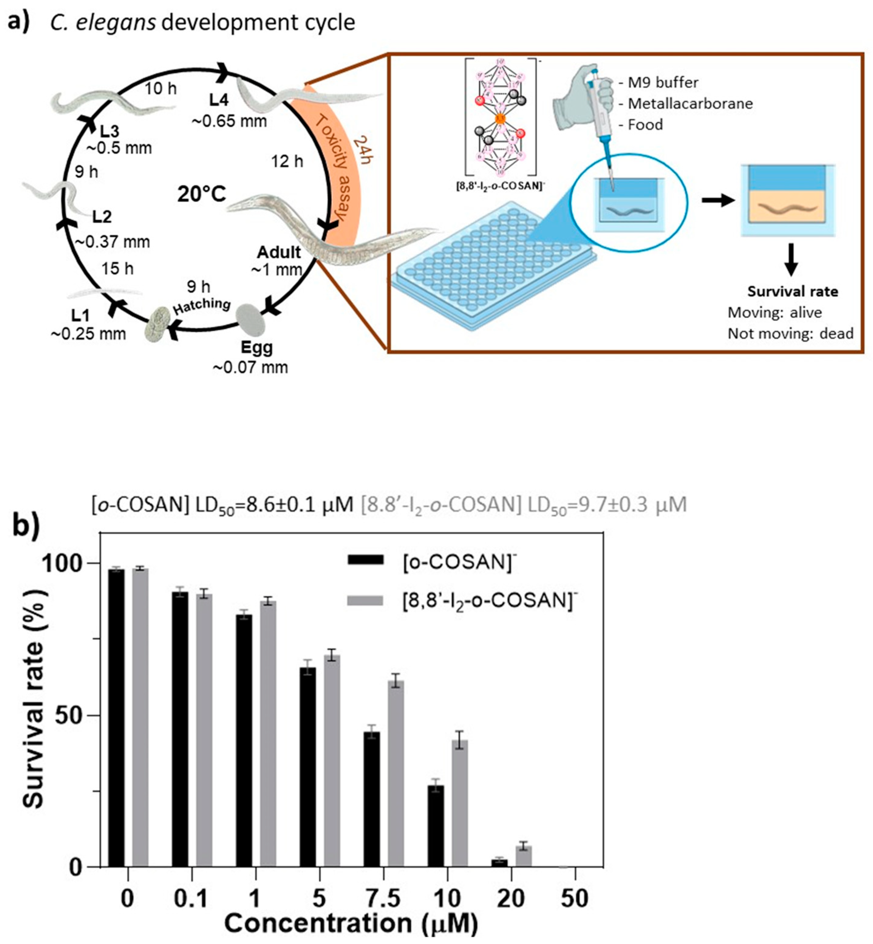 Cancers 13 06367 g008