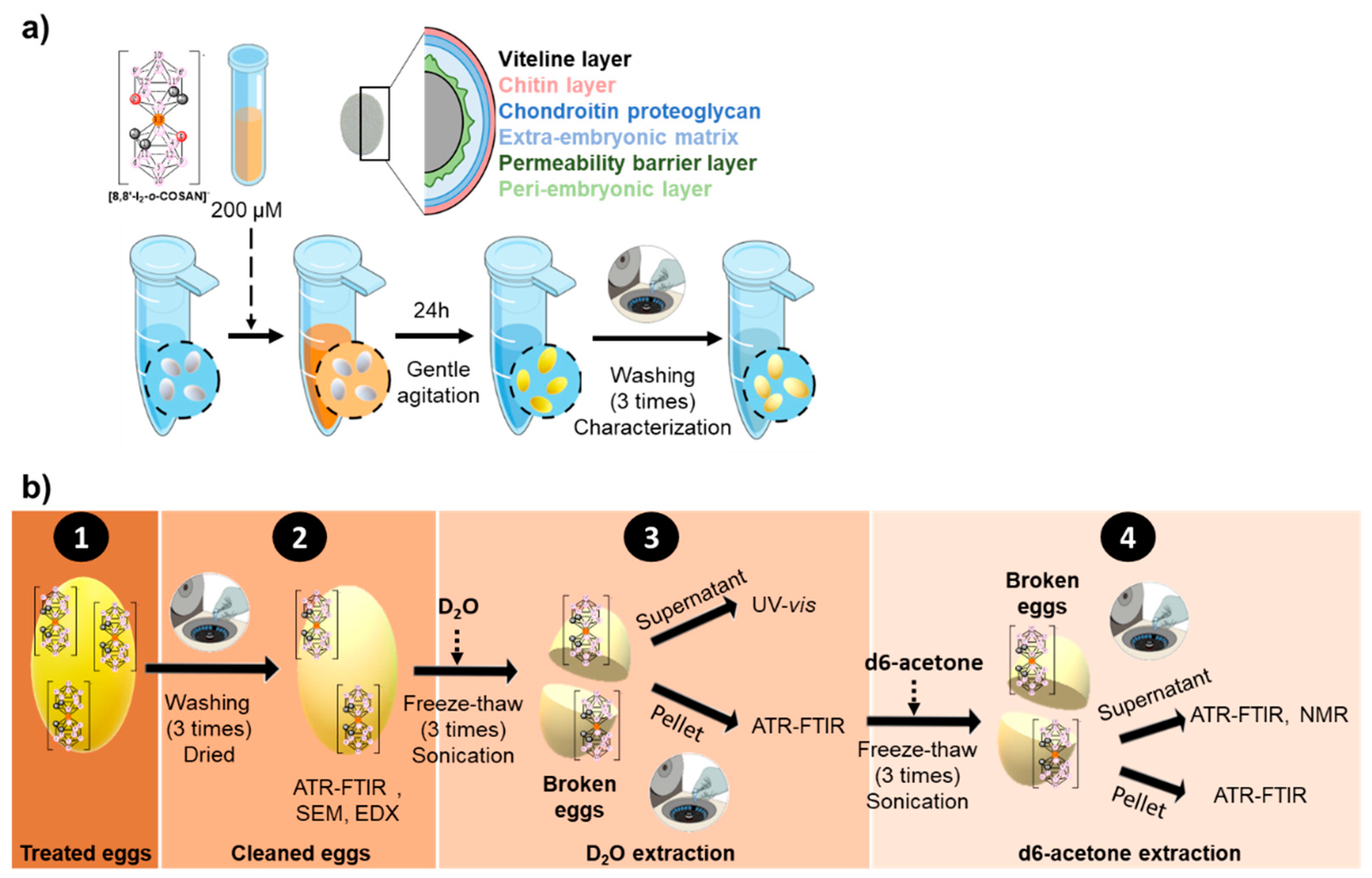 Cancers 13 06367 sch001