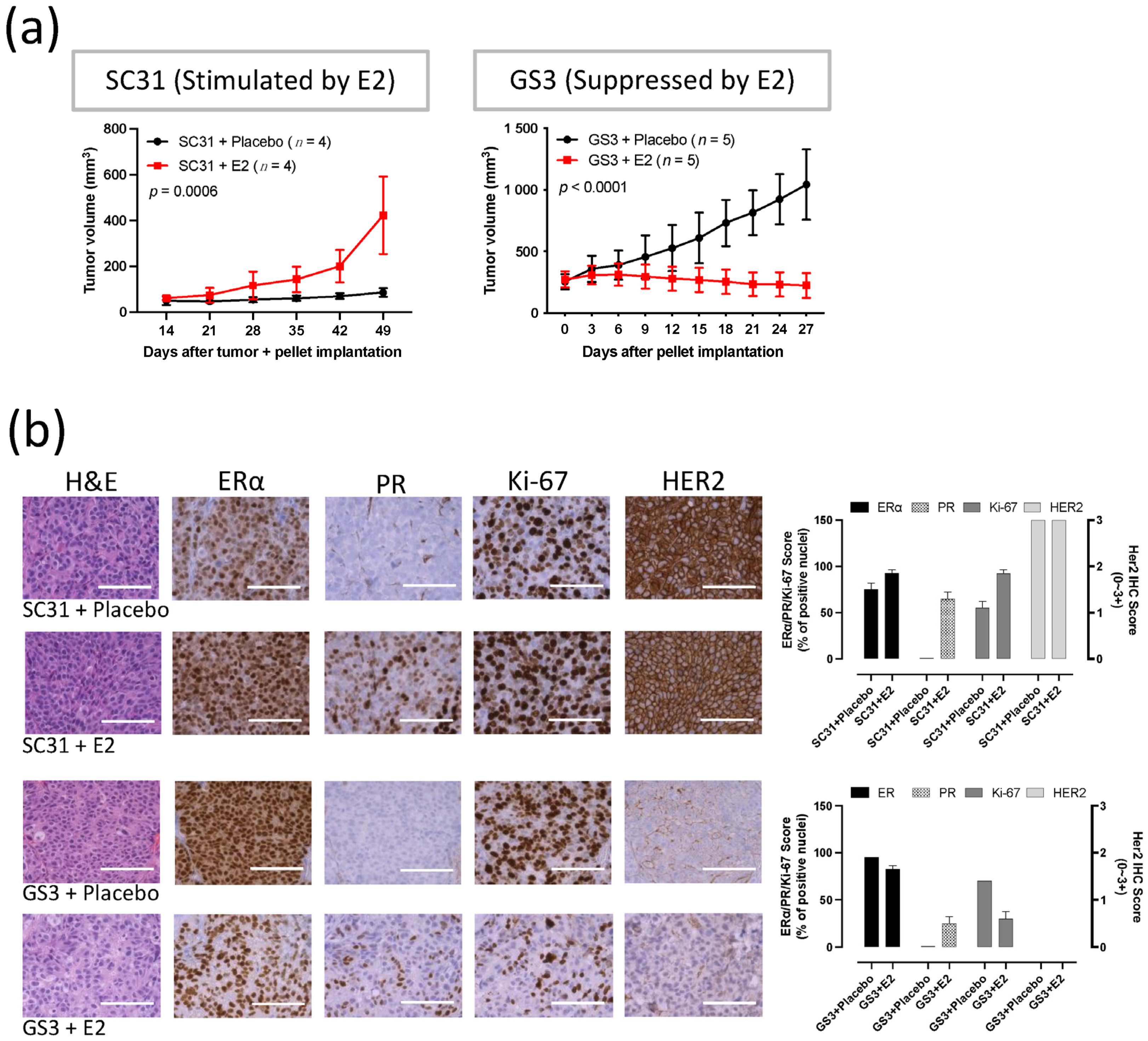 Cancers 13 06375 g001 Cancers 13 06375 g001