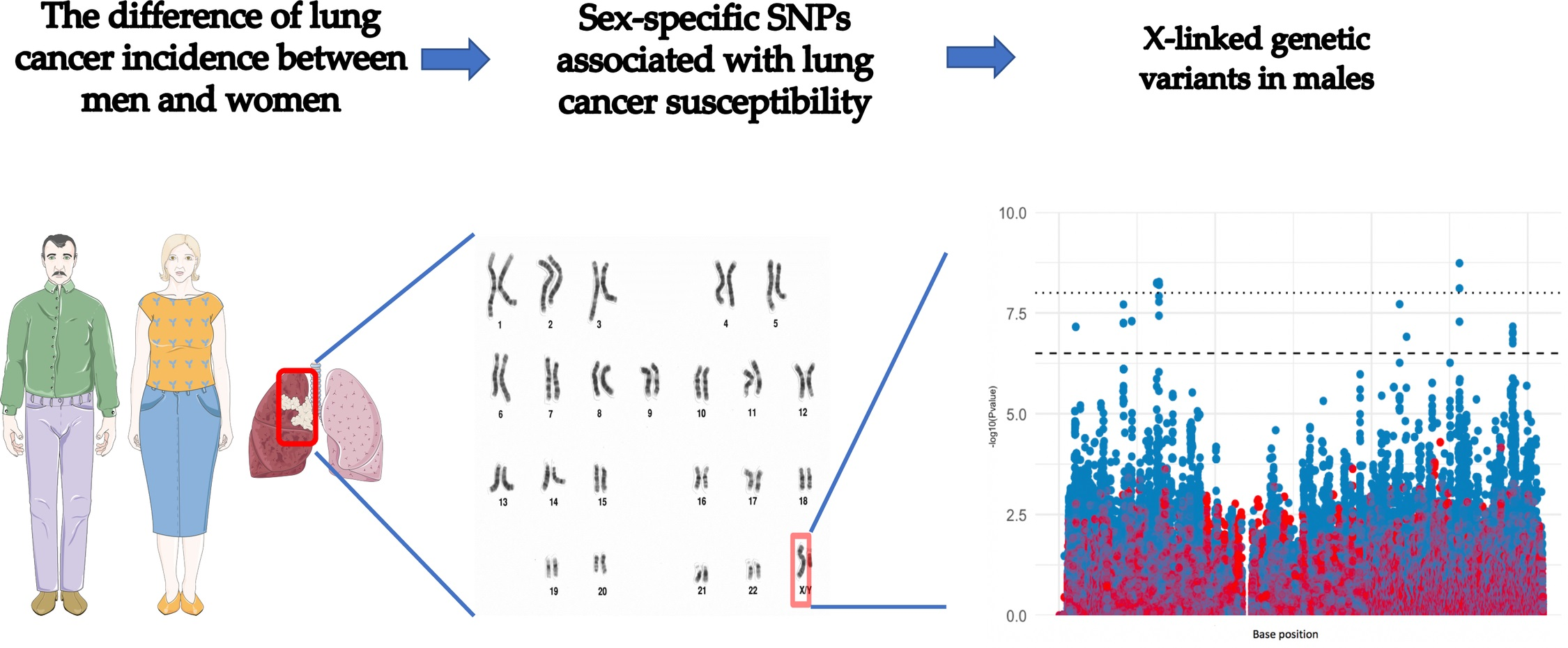 Cancers Free Full Text Identification Of Genetic Variants Associated With Sex Specific Lung 