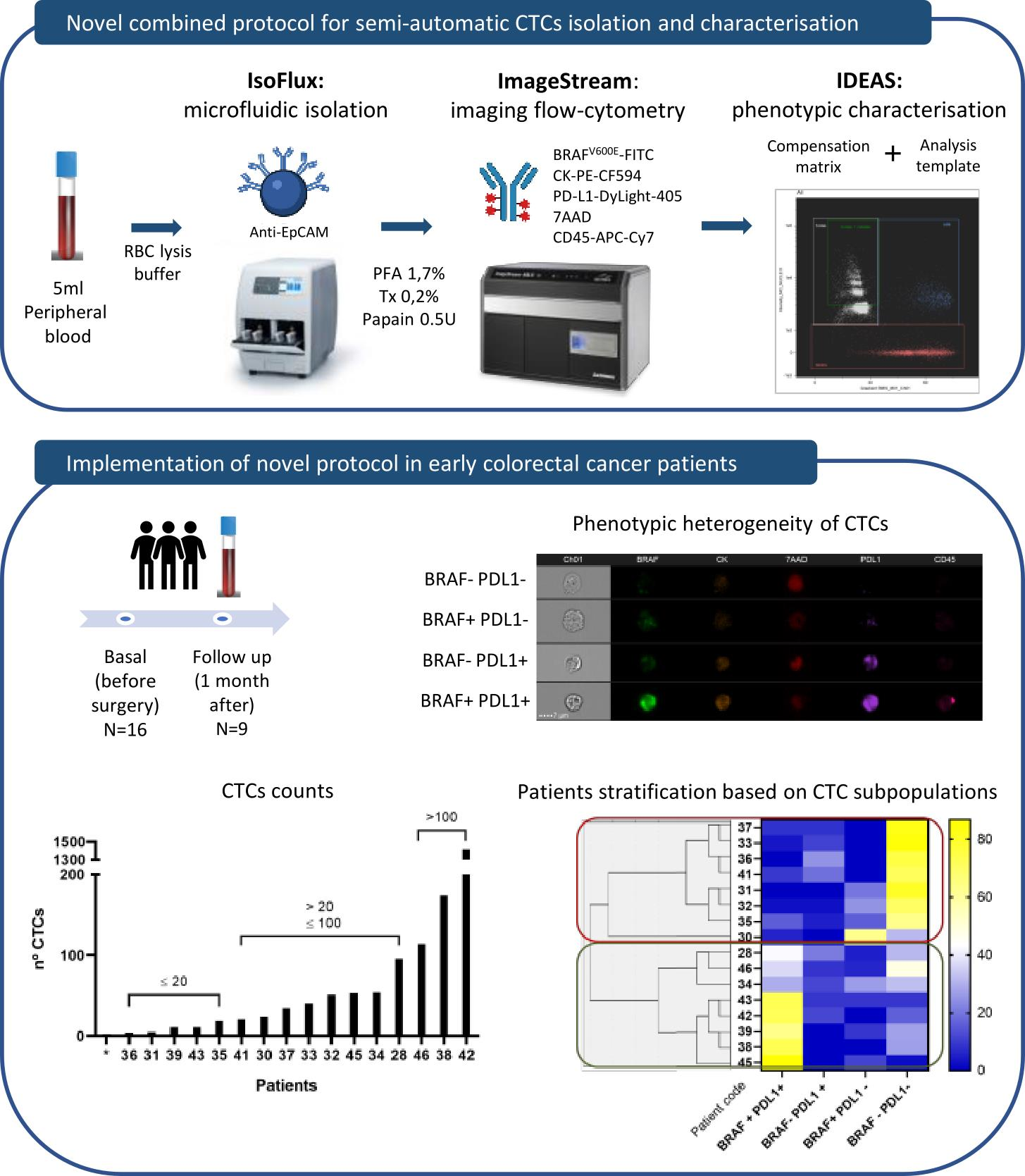 Cancers Free Full Text Deep Phenotypic Characterisation Of Ctcs By