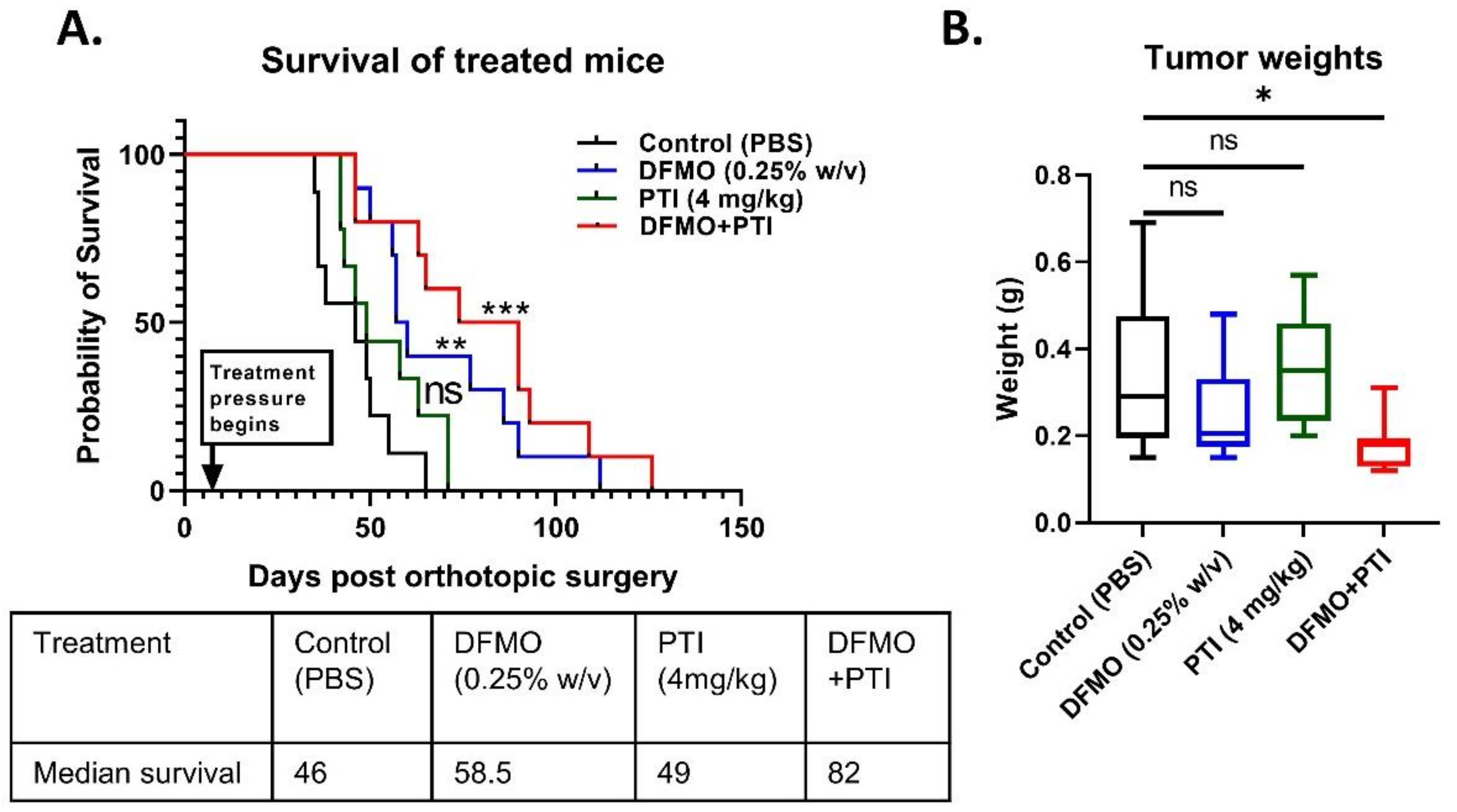Cancers 13 06391 g004