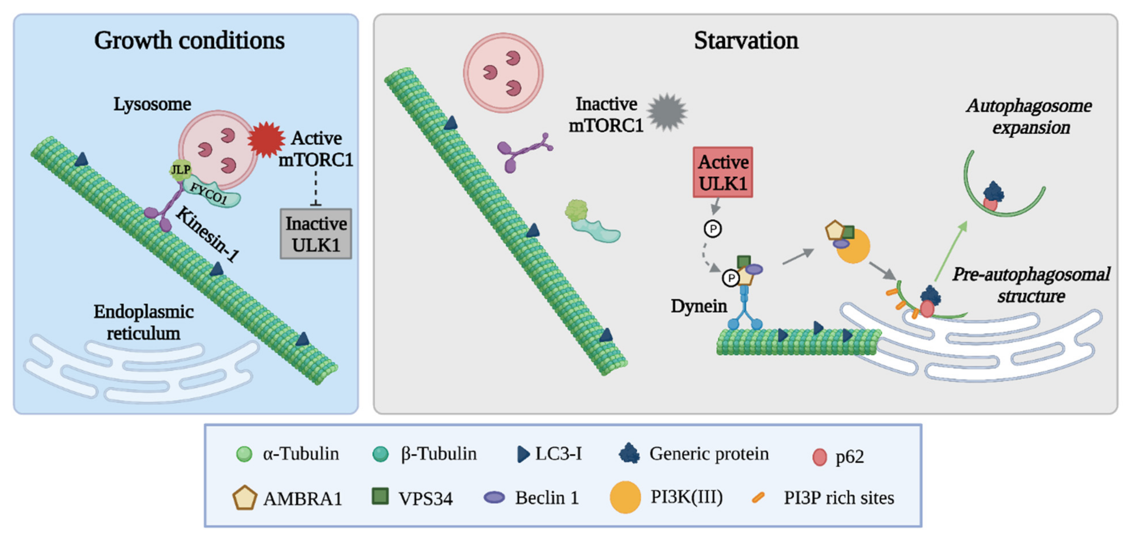 Cancers 14 00006 g002 Cancers 14 00006 g002
