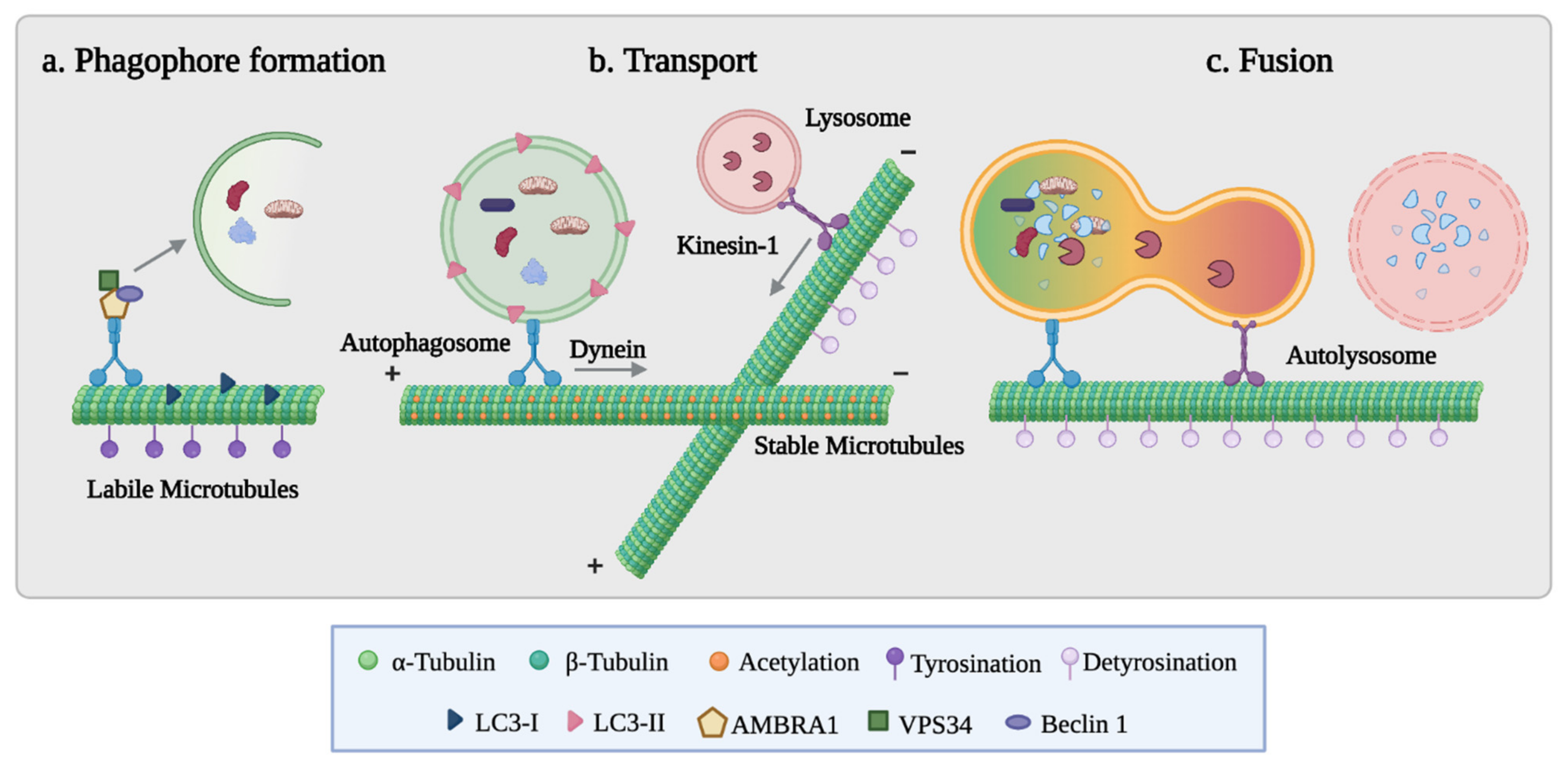 Cancers 14 00006 g003 Cancers 14 00006 g003