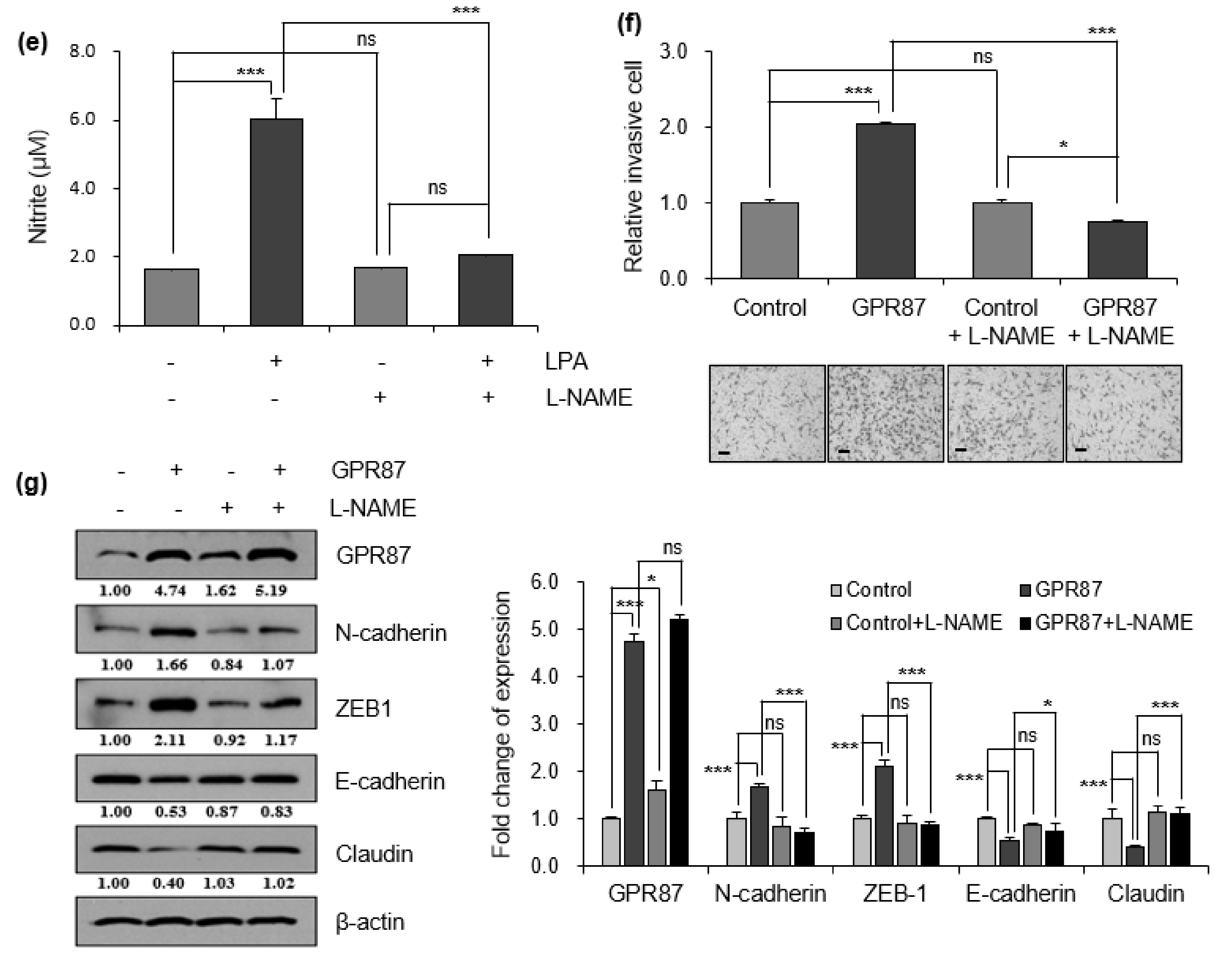 Cancers 14 00019 g004b