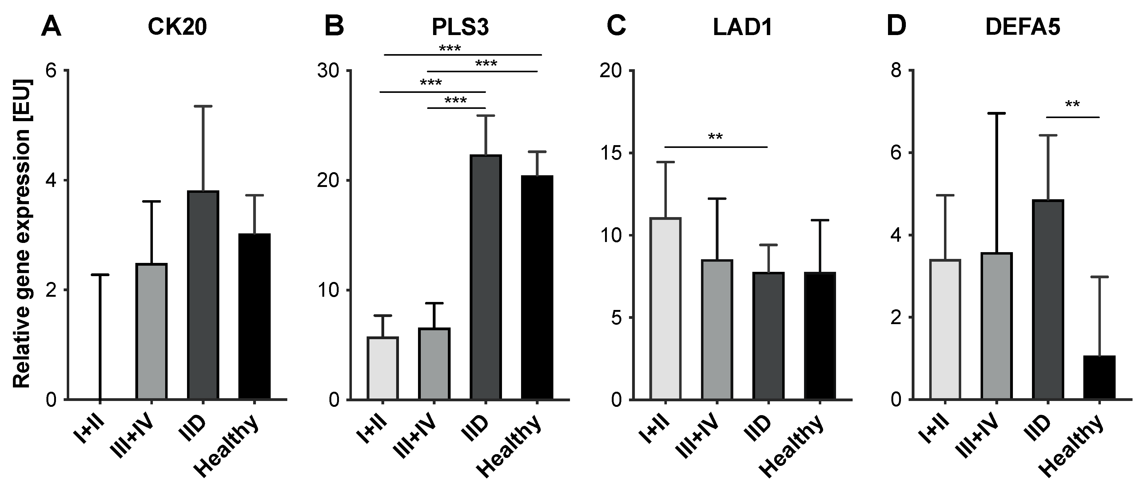 Cancers 14 00047 g003 Cancers 14 00047 g003