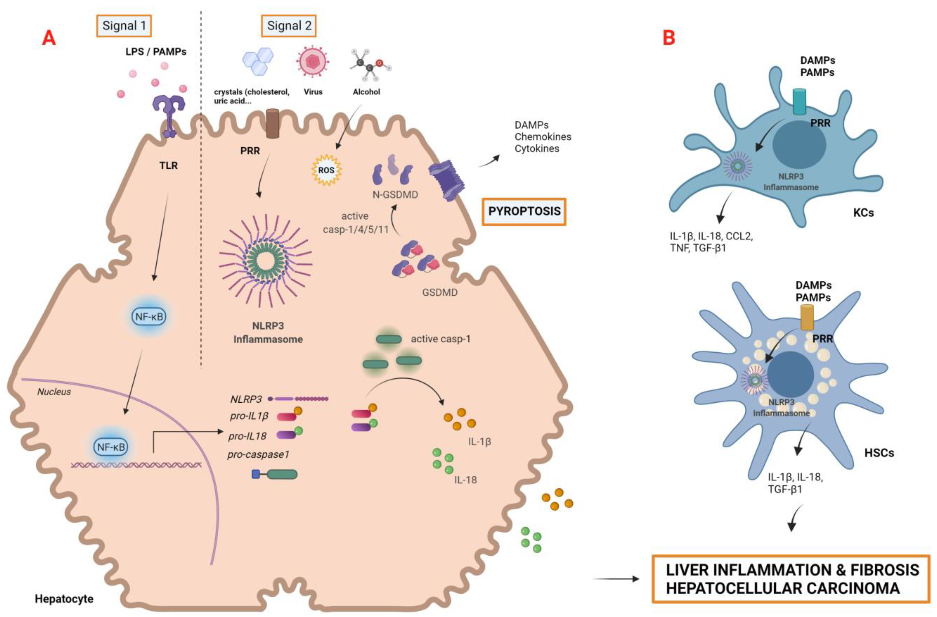 Cancers 14 00048 g002