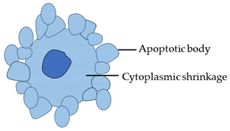Cancers 14 00051 i001