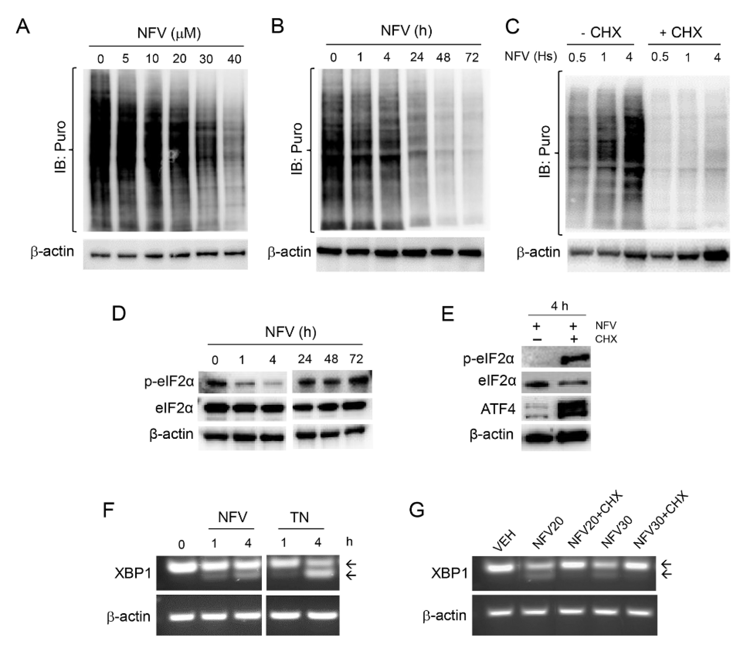 Cancers 14 00099 g004 Cancers 14 00099 g004