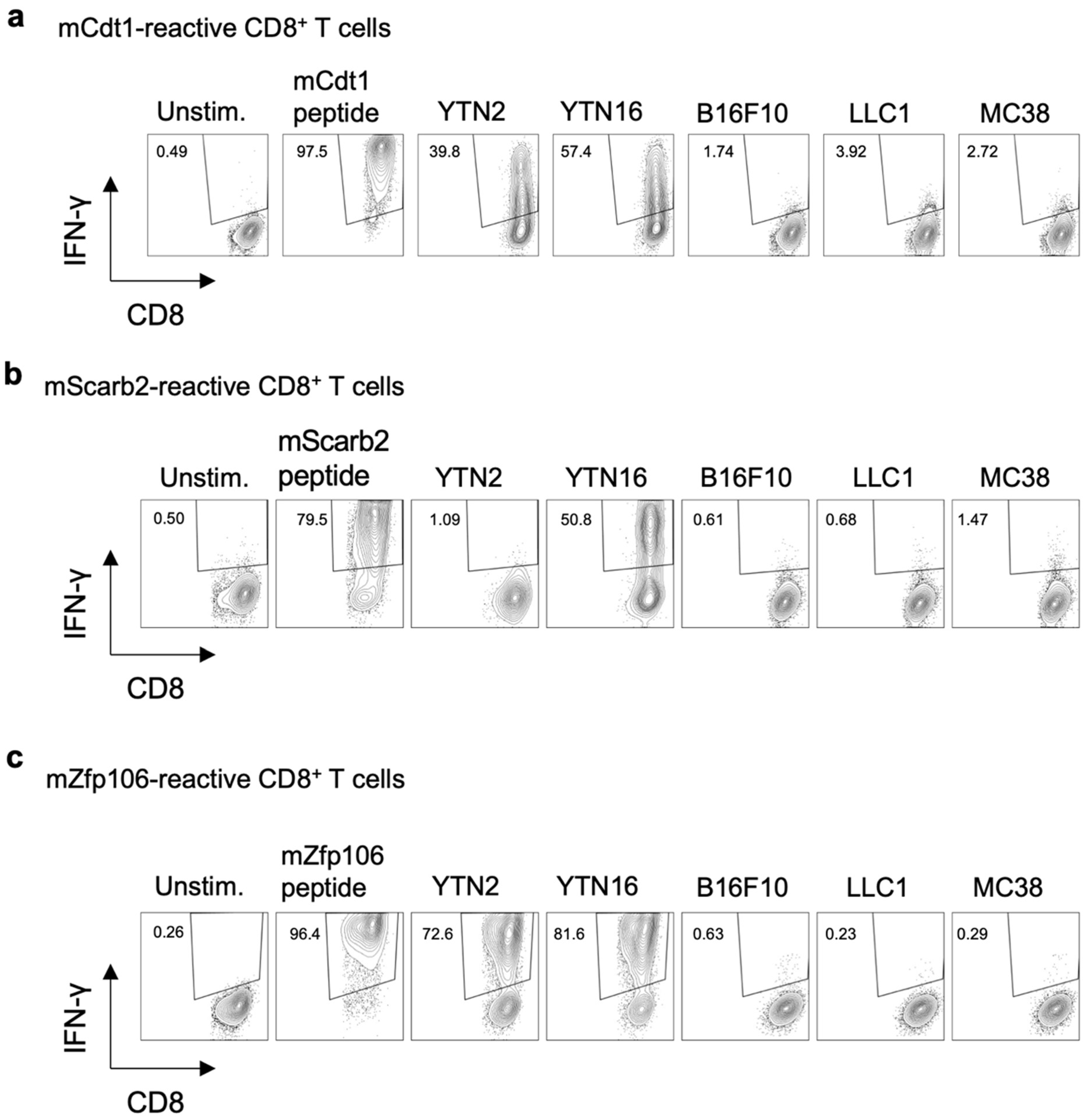 Cancers 14 00106 g003