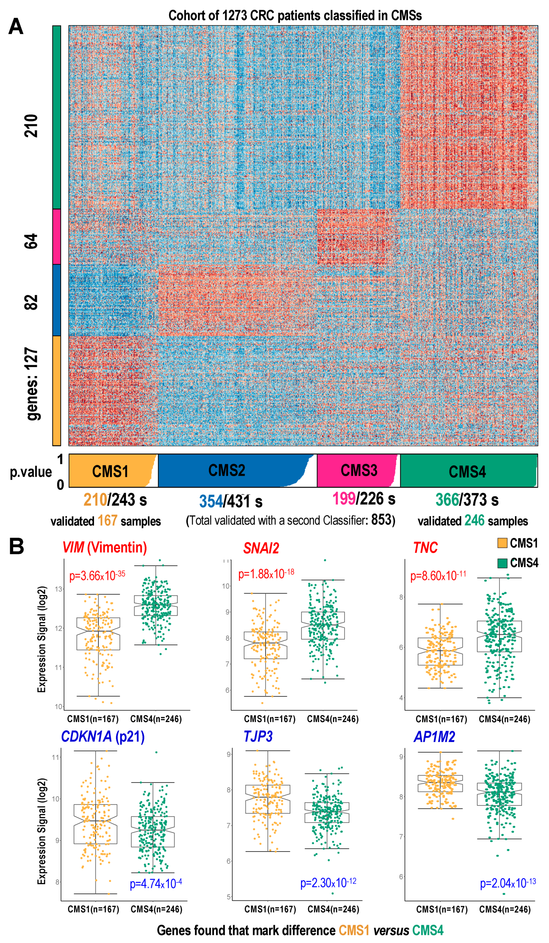 Cancers 14 00136 g003