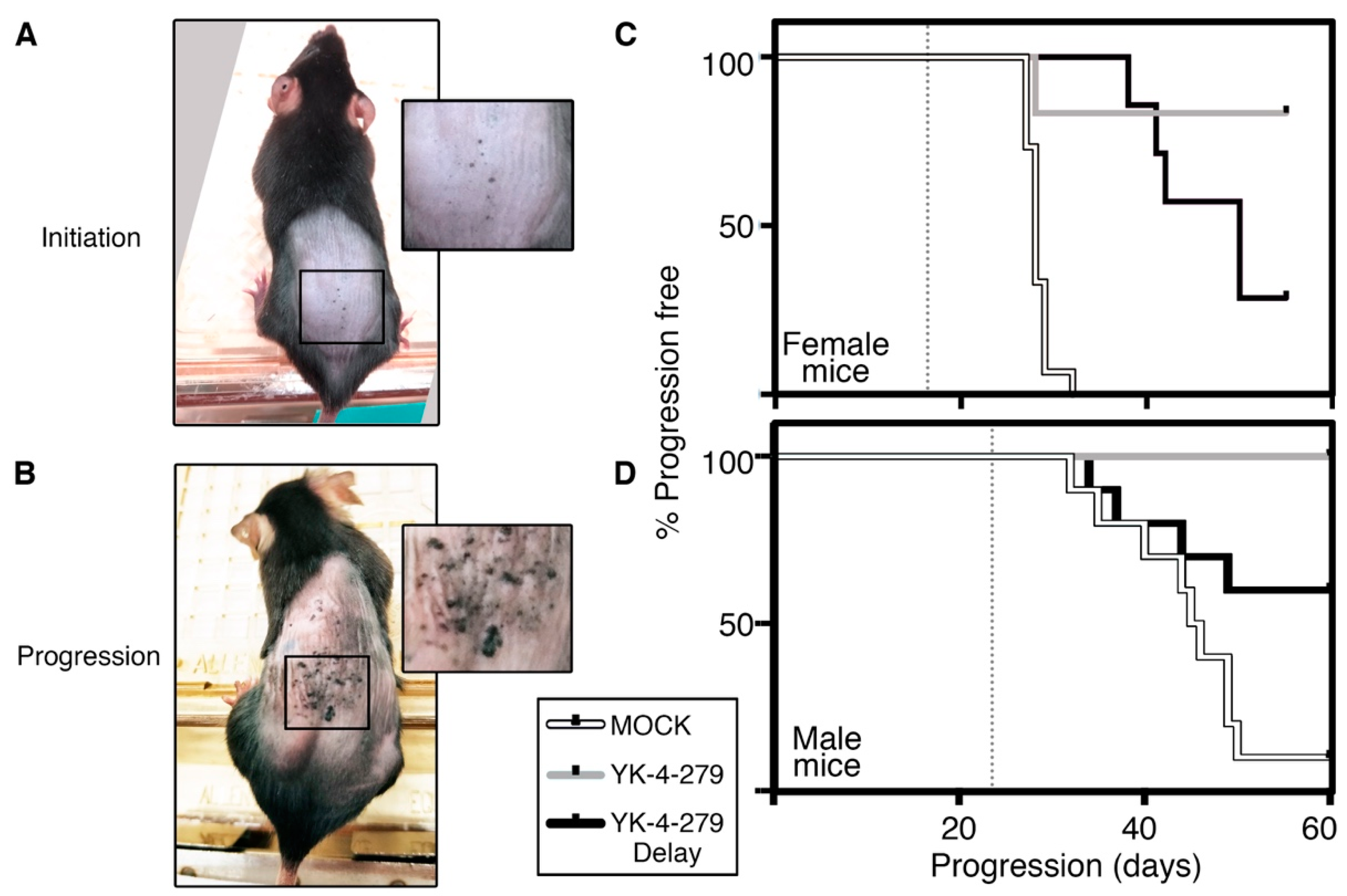 Cancers 14 00143 g002