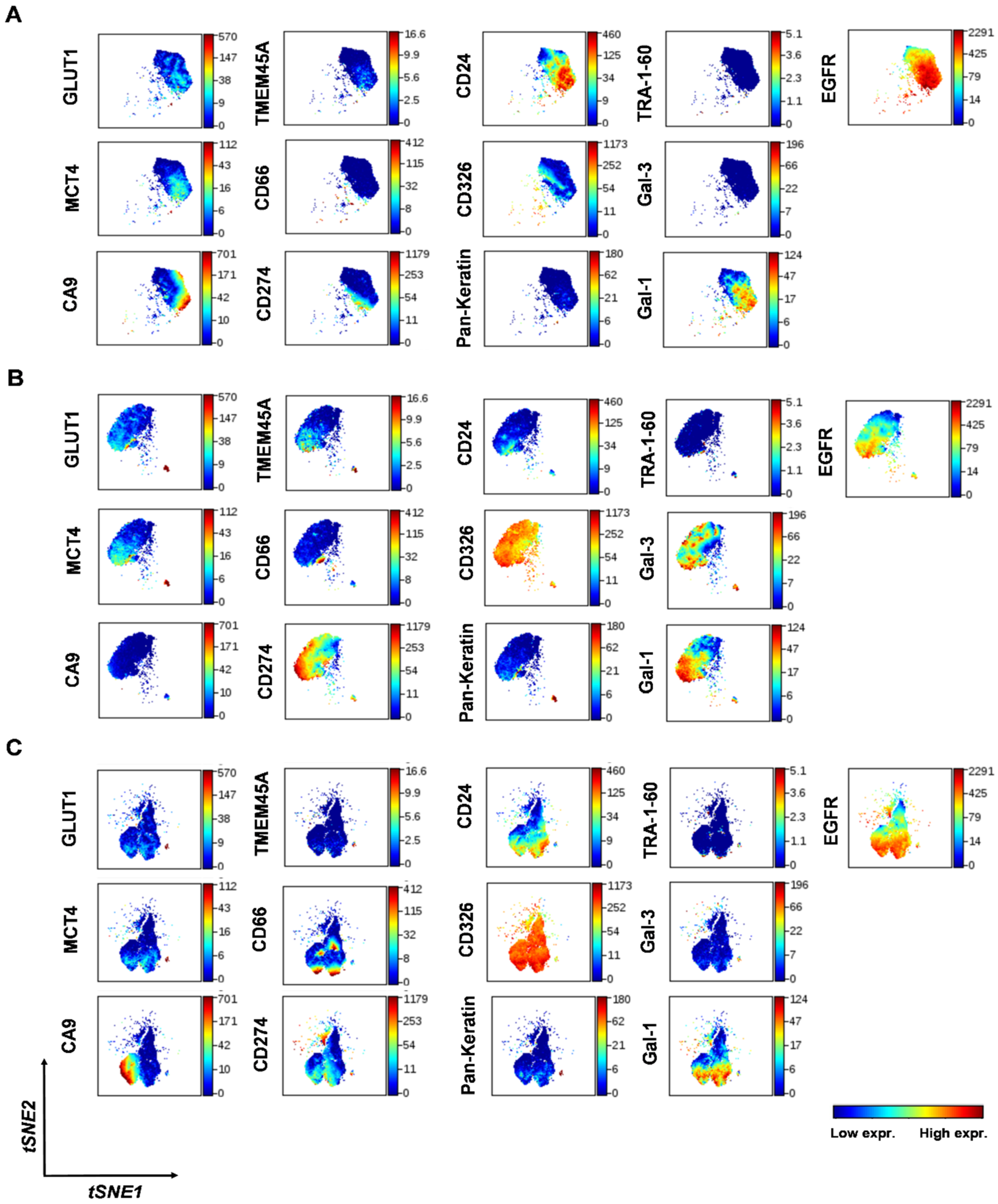 Cancers 14 00144 g002 Cancers 14 00144 g002
