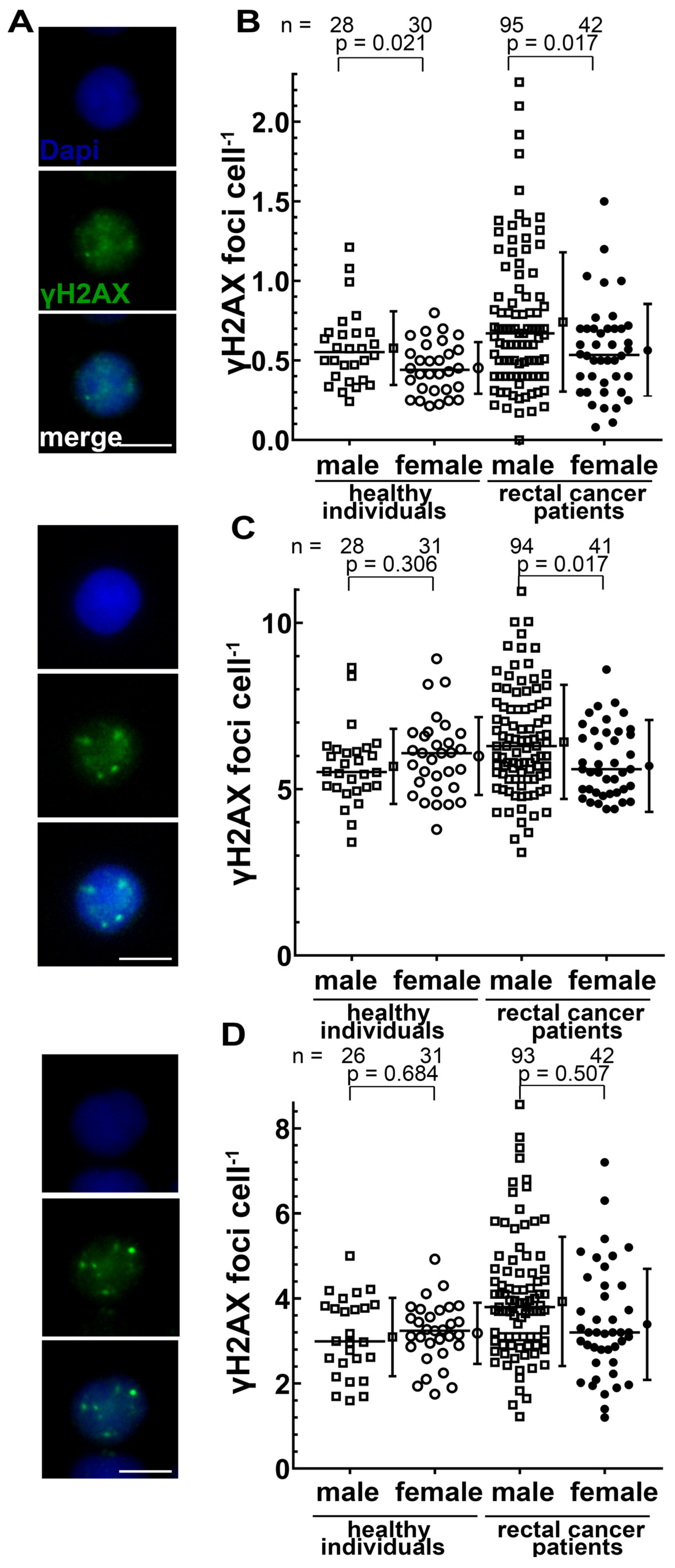Cancers 14 00148 g004 Cancers 14 00148 g004