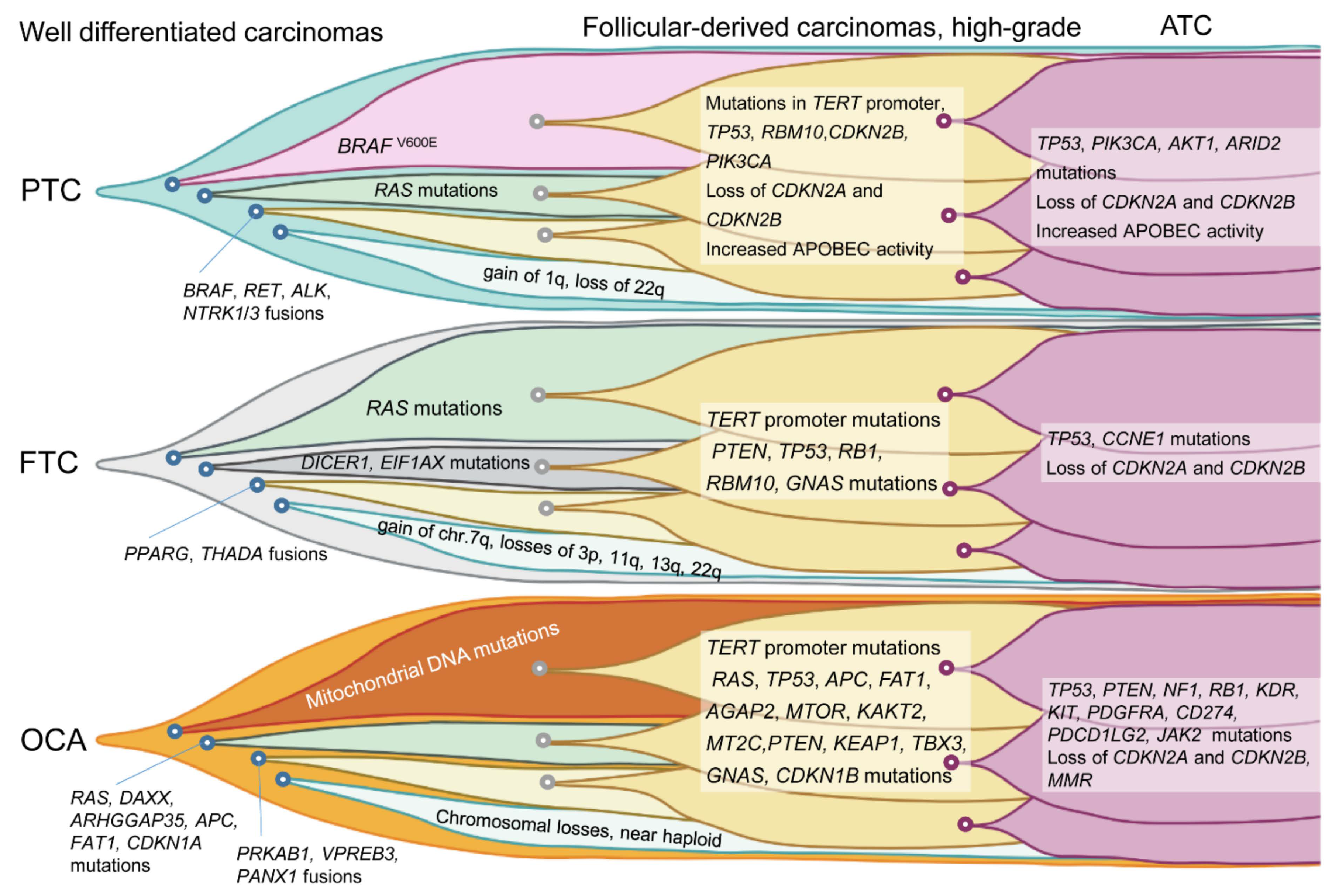 Cancers 14 00204 g002 Cancers 14 00204 g002