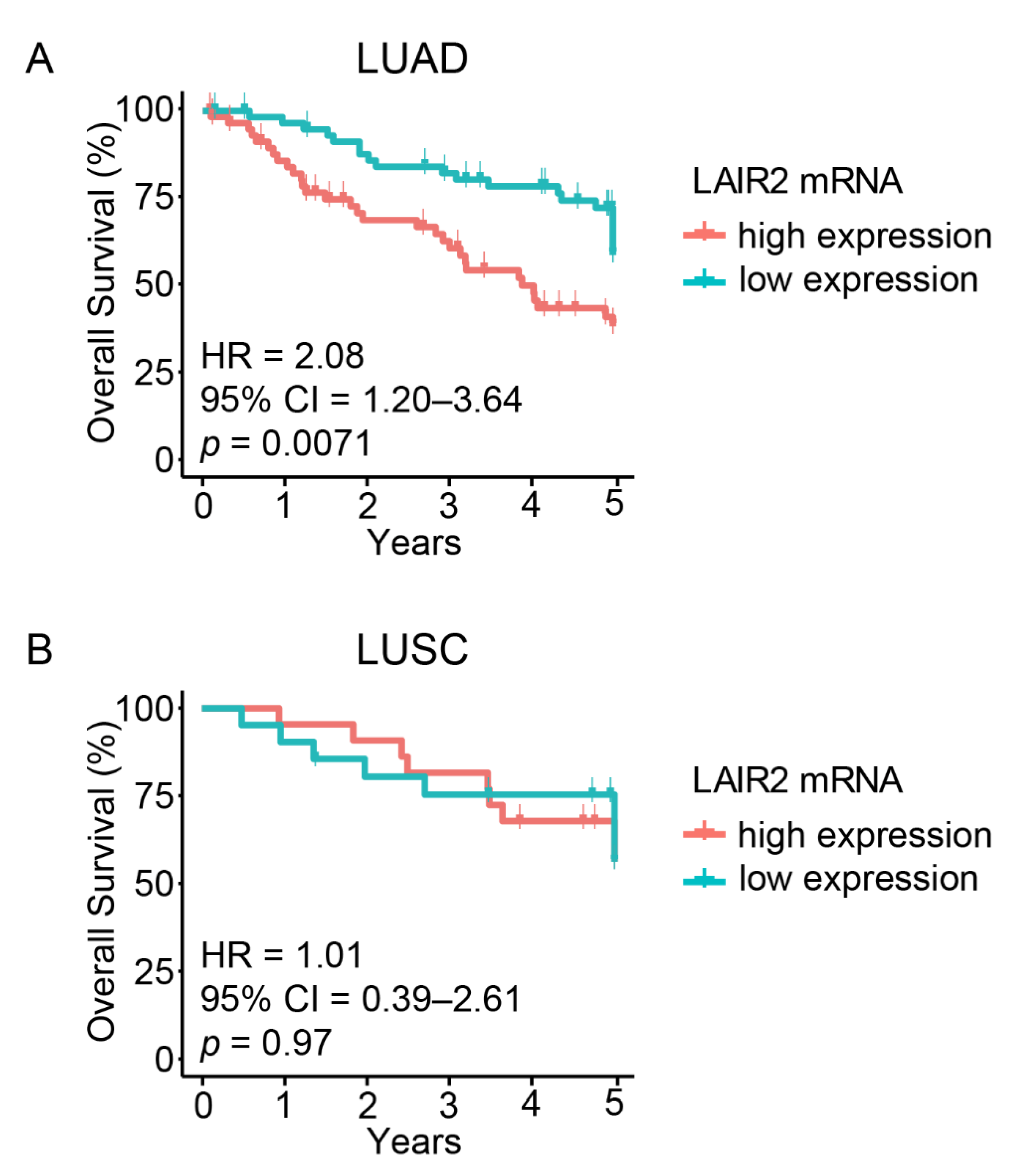 Cancers 14 00205 g001