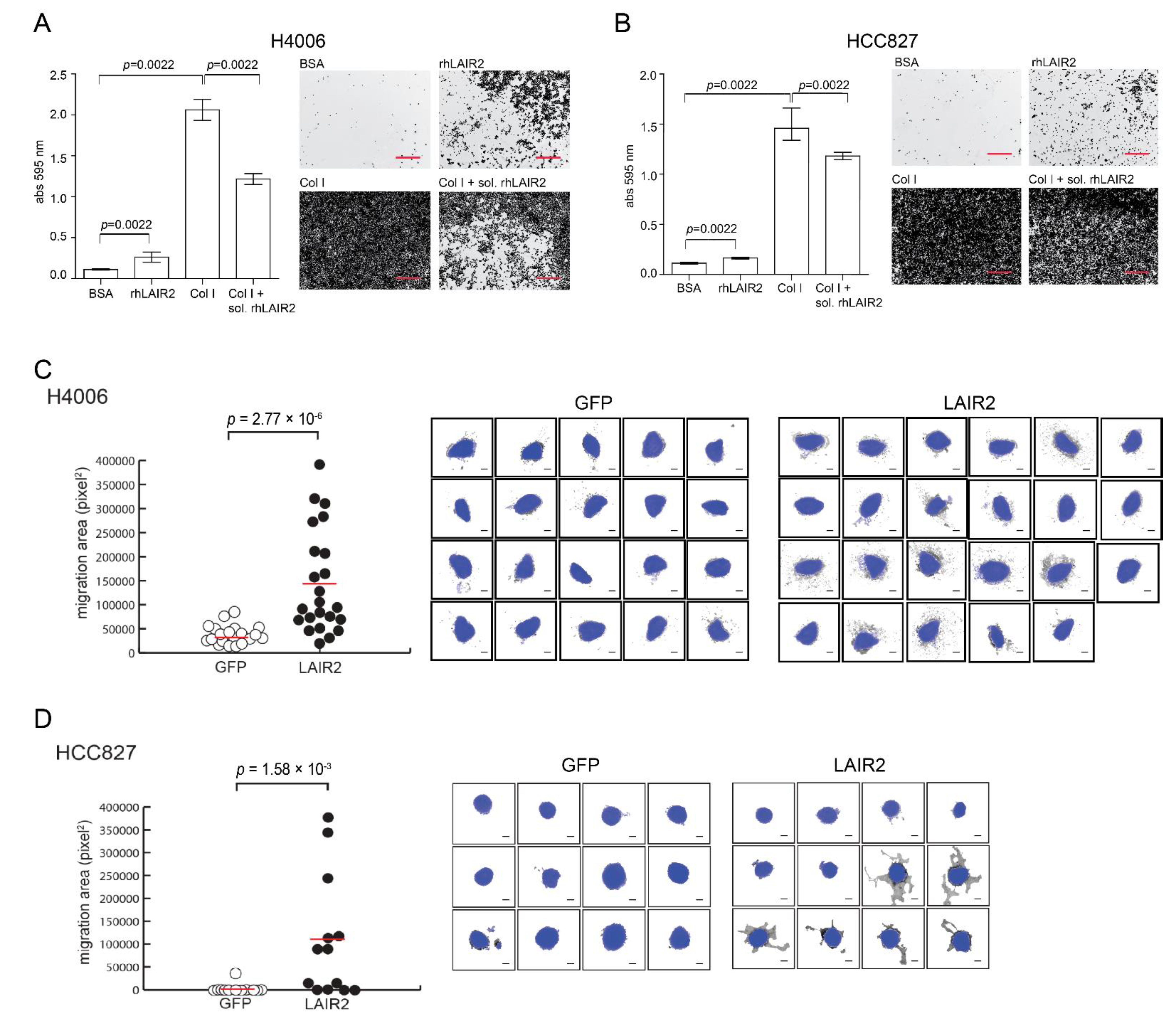 Cancers 14 00205 g003