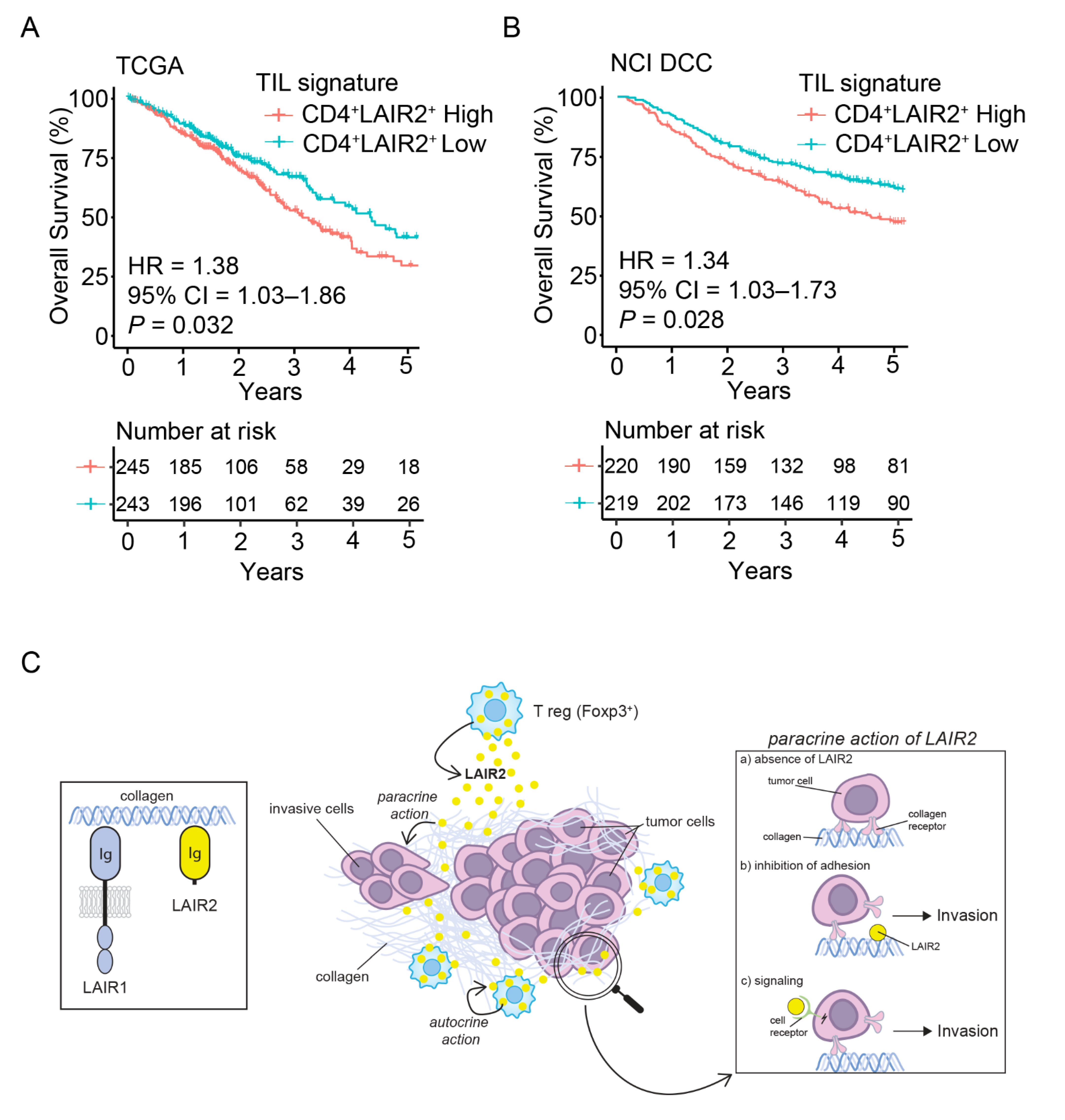 Cancers 14 00205 g005