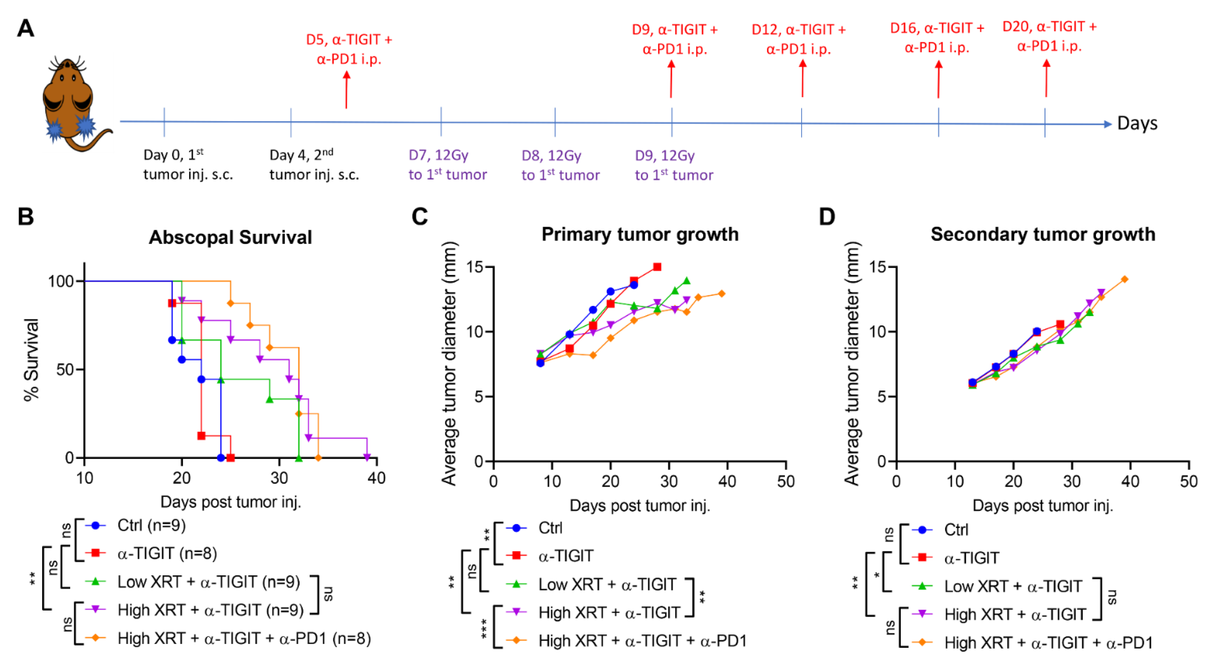 Cancers 14 00221 g001