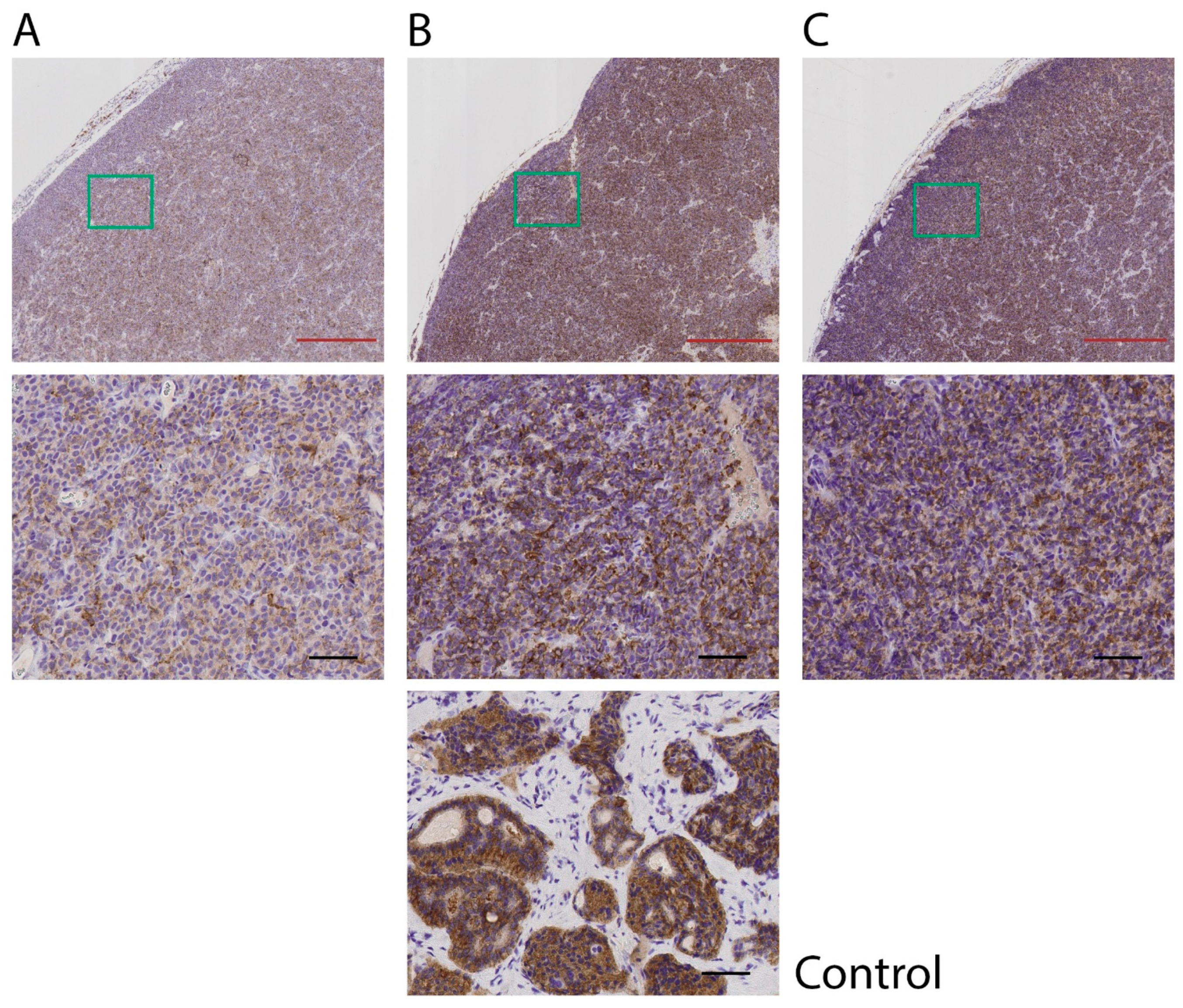 Cancers 14 00235 g003