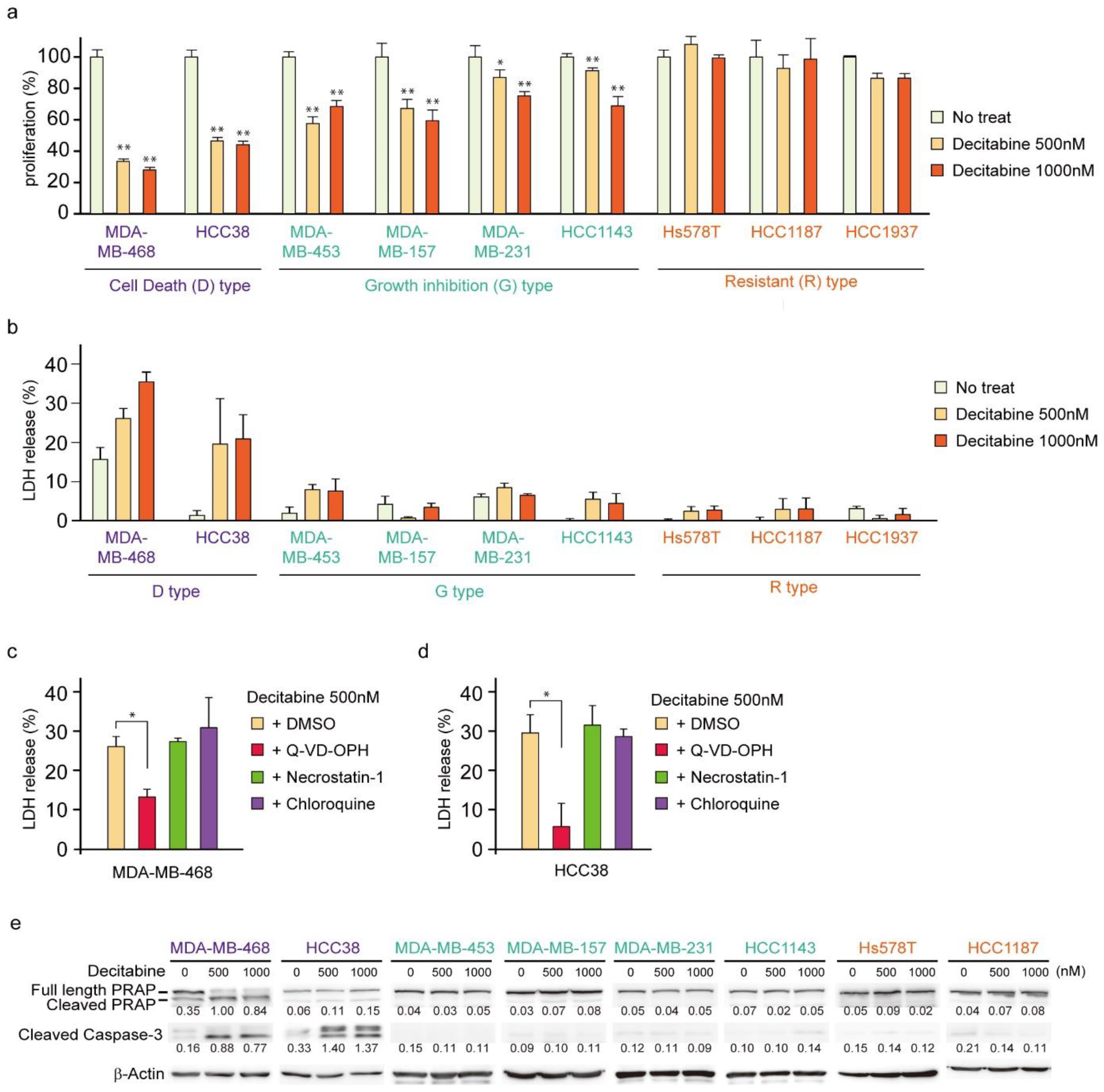 Cancers 14 00248 g001
