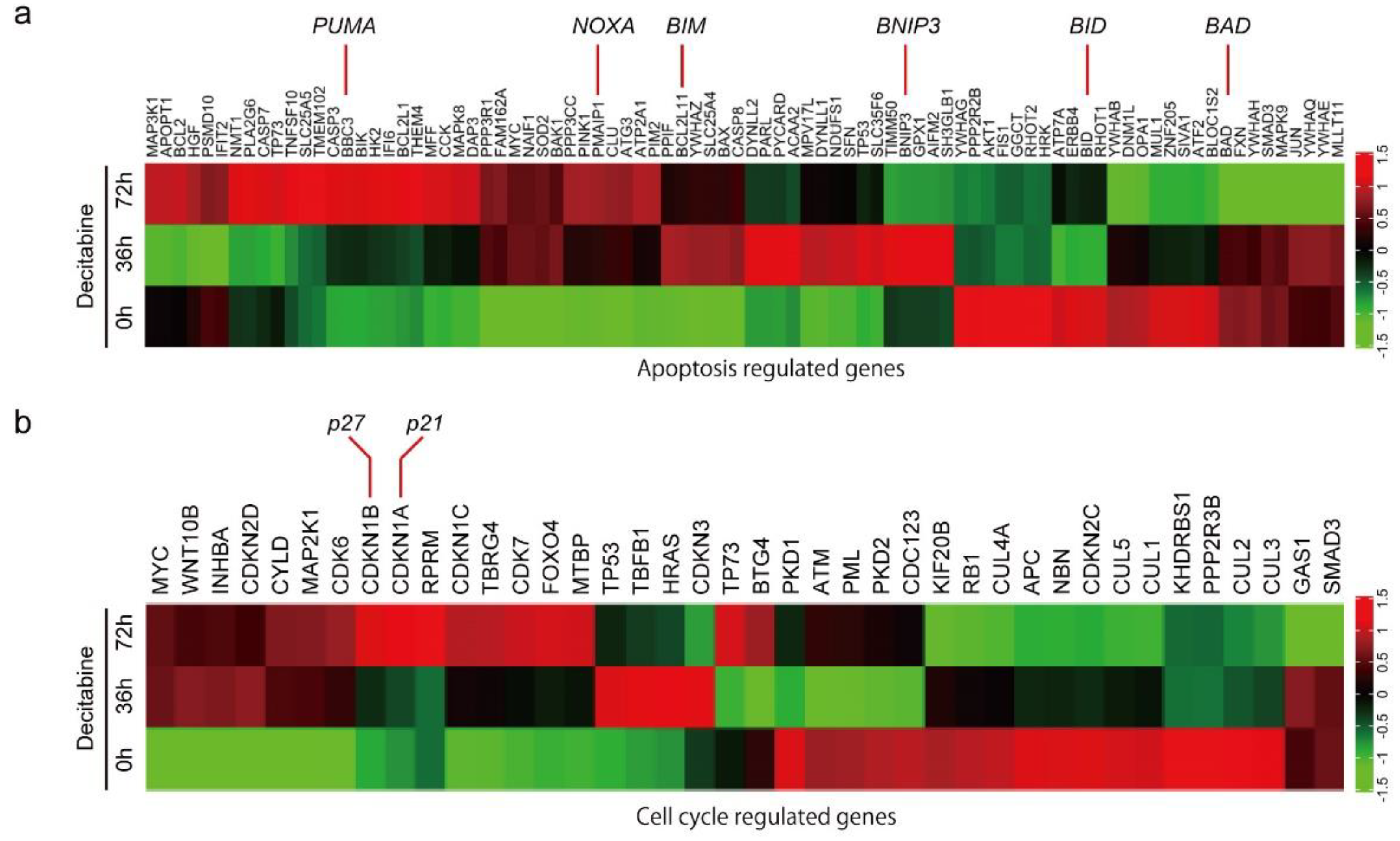 Cancers 14 00248 g002a